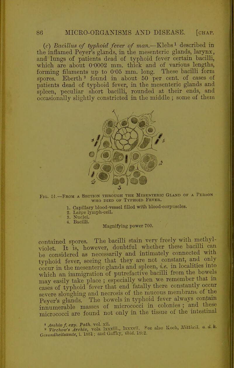 ((•) Bacillus of typhoid fever of man.—Klehs^ described in the inflamed Peyer's glands, in the mesenteric glands, larynx, and lungs of patients dead of typhoid fever certain baciUi, which are about 0-0002 mm. thick and of various lengths, forming filaments up to O'OS mm. long. These bacilli form spores. Eberth* found in about 50 per cent, of cases of patients dead of typhoid fever, in the mesenteric glands and spleen, peculiar short bacilli, roiinded at their ends, and occasionally slightly constricted in the middle ; some of them Kio. 51.—From a Section throuoh the Mesenteric Gland of a PEixaoN WHO DIED 01^ Typhoid Fever. 1. Capillnry blood-vessel filled with blood-corpuscles. 2. Lnrt;u lyiiii)li-cell. 8. Nuclei. 4. Bucilli. Magnifying power 700. contained spores. The bacilli stain very freely with methyl- violet. It is, however, doubtful whether these bacilli can be considered as necessarily and intimately connected with typhoid fever, seeing that they are not constant, and only occur in the mesenteric glands and spleen, i.e. in localities mto which an immigration of putrefactive bacilli from the bowels may easily take place ; especially when we remember that m cases of typhoid fever that end fatally there constantly occur severe sloughing and necrosis of the mucous membrane of the Peyer's glands. The bowels in typhoid fever always contain innumerable masses of micrococci in colonies ; and these micrococci are found not only in the tissue of the intestinal ^ 1;^'t^-;^<l: Sxiii.. ixxxvii. Pee dso Koch, Mitikcil. a. U. Ocaundlieitsamle, i. IbSl; and Giifflcy, tbid. lst2.