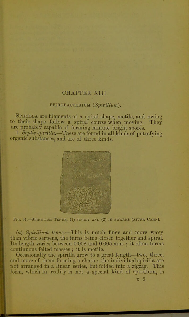 CHAPTER XIIT. S PIROB ACTERIUM {SpirUbi in). Spirilla are filaments of a spiral shape, motile, and owing to their shape follow a spiral course when moving. They are probably capable of forming minute bright spores. 1. SqHic spirilla.—These are found in all kinds of putrefying organic substances, and are of three kinds. Fio. 94.—Spirillum Tenue, (1) si.nglv and c^j in swarms (after Cohn). (a) Spirillum tenue.—This is much finer and more wavy than vibrio serpens, the turns being closer together and spiral. Its length varies between 0*002 and 0'005 mm. ; it often forms contini;ous felted masses ; it is motile. Occasionally the spirilla grow to a great length—two, three, and more of them forming a chain ; the individual spirilla are not arranged in a linear series, but folded into a zigzag. This form, which in reality is not a special kind of s|3irillum, is K 2