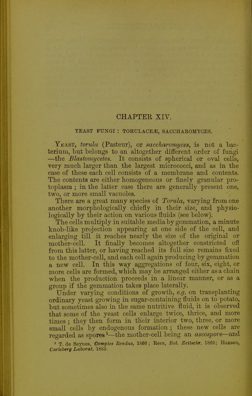YEAST FUNGI : TORULACEJE, SACCHAROMYCES. Ykast, forula (Pasteur), or saccharomyces, ia not a bac- terium, but belongs to an altogether different order of fungi —the Blastomycetes. It consists of spherical or oval cells, very much larger than the largest micrococci, and as in the case of these each cell consists of a membrane and contents. The contents are either homogeneous or finely granular pro- toplasm ; in the latter case there are generally present one, two, or more small vacuoles. ■, There are a great many species of Toiida, varying from one another morphologically chiefly in their size, and physio- logically by their action on various fluids (see below). The cells multiply in suitable media by gemmation, a minute knob-like projection appearing at one side of the cell, and enlarging tiU it reaches nearly the size of the original or mother-cell. It finally becomes altogetlier constricted off from this latter, or having reached its full size remains fixed to the mother-cell, and each cell again producing by gemmation a new cell. In this way aggregations of four, six, eight, or more cells are formed, which may be arranged either as a chain when the production proceeds in a linear manner, or as a group if the gemmation takes place laterally. Under varying conditions of growth, e.g. on transplanting ordinary yeast growing in sugar-containing fluids on to potato, but sometimes also in the same nutritive fluid, it is observed that some of the yeast cells enlarge twice, thrice, and more times ; they then form in their interior two, three, or more small cells by endogenous formation ; these new cells are regarded as spores ^—the mother-cell being an ascospore—and ' T. de Sejmes, Comptes Bendus, 1866 ; Rees, Bot. Zeitachr. 1869; Hansen, Carlsberg Laborat, 1883.