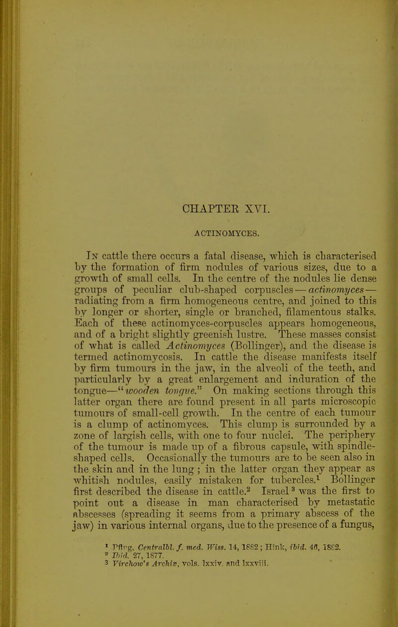 ACTINOMYCES. In cattle there occurs a fatal disease, wliich is cliaracterised by the formation of firm nodules of various sizes, due to a growth of small cells. In the centre of the nodules lie dense grotips of peculiar club-shaped corpuscles — actmomyces — radiating from a firm homogeneous centre, and joined to this by longer or shorter, single or branched, filamentous stalks. Each of thepe actinomyces-corpuscles appears homogeneous, and of a bright slightly greenish lustre. These masses consist of what is called Actinomyces (Bollinger), and the disease is termed actinomycosis. In cattle the disease manifests itself by firm tumours in the jaw, in the alveoli of the teeth, and particularly by a great enlargement and induration of the tongue—wooden tovgve. On making sections through this latter organ there are found present in all parts microscopic tumours of small-cell growth. In the centre of each tumour is a clump of actinomyces. This clump is surrounded by a zone of largish cells, with one to four nuclei. The periphery of the tumour is made up of a fibrous capsule, with spindle- shaped cells. Occasionally the tumours are to be seen also in the skin and in the lung ; in the latter organ they appear as whitish nodules, easily mistaken for ti;bercles.^ Bollinger first described the disease in cattle.^ Israel ^ was the first to point out a disease in man characterised by metastatic abscesses (spreading it seems from a primary abscess of the jaw) in various internal organs, due to the presence of a fungus, ' rfli'g. Centralbl. f. med. Wiss. 14, 1RS2; Hinl;, ibid. 46, IS£2. ' Ibid. 27, 1877.