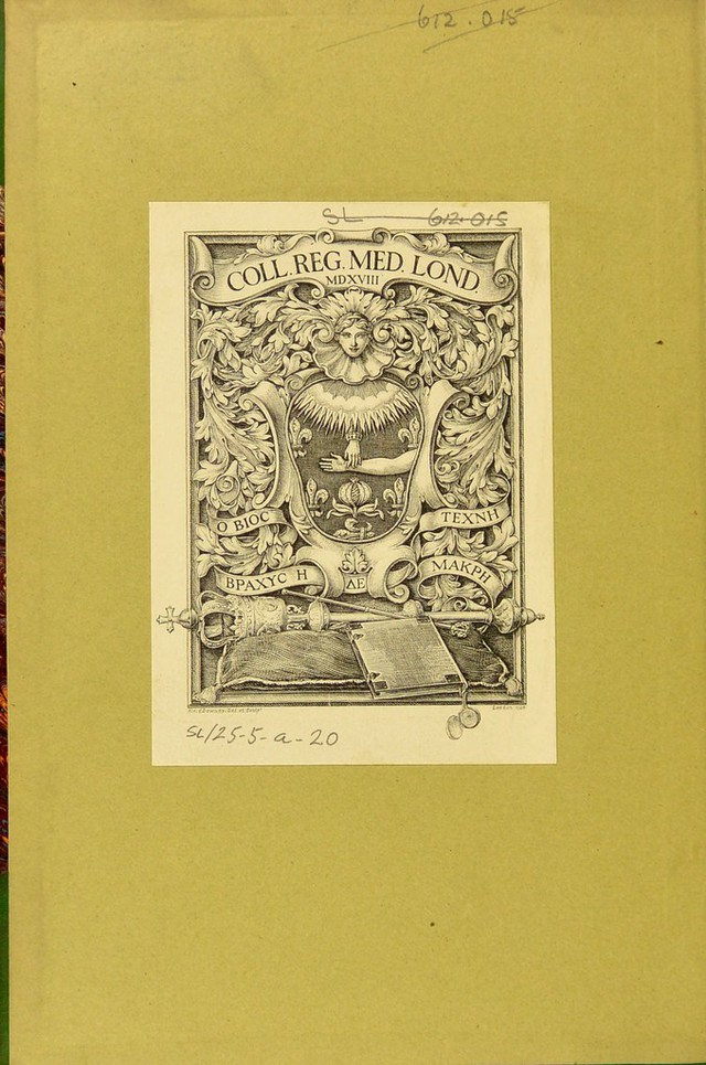 digitised image 2