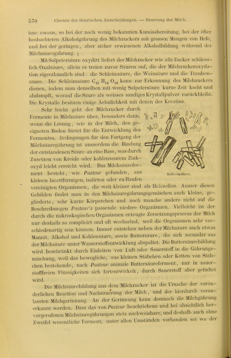 tose voraus, so bei der noi^li wenig bekannten Kumissbereilung, l)ei der öilor l)eol3aclitelen Alkoholgührung des Milchzuckers mit grossen Mengen von Hefe, und bei der geringen, aber siclier erwiesenen Alkolioibildung wäiirend der Milchsäuregiihrung. »i Mit Salpetersäure oxydirt lielert der Milchzucker wie alle Zucker schliess- lich Oxalsäure, allein es treten zvivor Säuren aui', die der Milchzuckeroxyda- tion eigenthümlich sind: die Schleimsäure, die Weinsäure und die Trauben- säure. Die Schleimsäure C,2 H,o 0^Q kann zur Erkennung des Milchzuckoi-s dienen, indem man denselben mit wenig Salpetersäure kurze Zeit kocht und abdampft, \^'orauf die Säure als weisses sandiges Krystallpulver zurückbleil>t. Die Kryslalle besitzen einige Aehnlichkeit mit denen des Kreatins. Sehr leicht geht der Milchzucker durch Fermente in Milchsäure über, besonders dann, wenn die Lösung, w ie in der Milch, den ge- eigneten Boden bietet für die Entwicklung des Fermentes. Bedingungen für den Fortgang der Milchsäuregährung ist ausserdem die Bindung der entstandenen Säure an eine Base, was durch Zusetzen von Kreide oder kohlensaurem Zink- oxyd leicht erreicht wird. Das Milchsäurefer- ment besteht, wie Pasleur gefunden, aus Suhloimsäure. kleinen lacetlförmigen, isolirten oder zu Haufen vereinigten Organismen, die weit kleiner sind als Hefezellen. Ausser diesen Gebilden findet man in den Milchsäuregährungsgemischen auch kleine, ge- gliederte, sehr kurze Körperchen und noch manche andere nicht auf die Beschreibungen Pasteur's passende niedere Organismen. Vielleicht ist der durch die mikroskopischen Organismen erzeugte Zersetzungsprocess der Milch nur deshalb so complicirt und oft wechselnd, weil die Organismen sehr ver- schiedenartig sein können. Immer entstehen neben der Milchsäure auch etwas Mannit, Alkohol und Kohlensäure, sowie Buttersäure, die sich secundär aus der Milchsäure unter Wassers toffent^vicklung abspaltet. Die ButtersäurebUdung wird beschränkt durch Einleiten von Luft oder Sauerstoff in die Gährungs- mischung, weil das bewegliche, aus kleinen Stäbchen oder Ketten von Stäb- chen bestehende, nach Pastem-animale Buttersäureferment, nur in sauer- stofffreien Flüssigkeiten sich fortentwickelt, durch Sauerstoff aber getödtet wird. Die Milchsäm^ebildung aus dem Milchzucker ist die Ursache der verän- derlichen Reaction und Nachsäuemng der Milch, und der hierdurch veran- lassten Milchgerinnung. An der Gerinnung kann demnach die Milchgahrung erkannt werden. Dass das von Pasteur beschriebene und bei absichtlich her- vorgerufenen Milchsäuregährungen stets nachweisbare, und deshalb auch ohne Zweifel wesentliche Ferment, unter allen Umständen vorhanden sei wo der