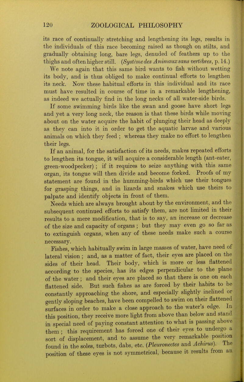 its race of continually stretching and lengthening its legs, results in the individuals of this race becoming raised as though on stilts, and gradually obtaining long, bare legs, denuded of feathers up to the thighs and often higher still. {SysUme des Animaux sans verUbres, p. 14.) We note again that this same bird wants to fish without wetting its body, and is thus obhged to make continual efforts to lengthen its neck. Now these habitual efforts in this individual and its race must have resulted in course of time in a remarkable lengthening, as indeed we actually find in the long necks of all water-side birds. If some swimming birds Hke the swan and goose have short legs and yet a very long neck, the reason is that these birds while moving about on the water acquire the habit of plunging their head as deeply as they can into it in order to get the aquatic larvae and various animals on which they feed ; whereas they make no effort to lengthen their legs. If an animal, for the satisfaction of its needs, makes repeated efforts to lengthen its tongue, it will acquire a considerable length (ant-eater, green-woodpecker) ; if it requires to seize anything with this same organ, its tongue will then divide and become forked. Proofs of my statement are found in the humming-birds which use their tongues for grasping things, and in lizards and snakes which use theirs to palpate and identify objects in front of them. Needs which are always brought about by the environment, and the subsequent continued efforts to satisfy them, are not Hmited in their results to a mere modification, that is to say, an increase or decrease of the size and capacity of organs ; but they may even go so far as to extinguish organs, when any of these needs make such a course necessary. Fishes, which habitually swim in large masses of water, have need of lateral vision ; and, as a matter of fact, their eyes are placed on the sides of their head. Their body, which is more or less flattened according to the species, has its edges perpendicular to the plane of the water ; and their eyes are placed so that there is one on each flattened side. But such fishes as are forced by their habits to be constantly approaching the shore, and especially slightly incUned or gently sloping beaches, have been compelled to swim on their flattened surfaces in order to make a close approach to the water's edge. In this position, they receive more Ught from above than below and stand in special need of paying constant attention to what is passing above them; this requirement has forced one of their eyes to undergo a sort of displacement, and to assume the very remarkable position found in the soles, turbots, dabs, etc. {Pleuronectes and Achirus). The position of these eyes is not symmetrical, because it results from au