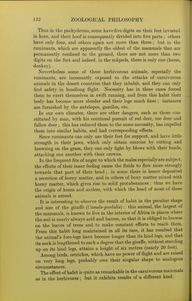 Thus in the pachyderms, some have five digits on their feet invested in horn, and their hoof is consequently divided into five parts ; others have only four, and others again not more than three; but in the ruminants, which are apparently the oldest of the mammals that are permanently confined to the ground, there are not more than two digits on the feet and indeed, in the sohpeds, there is only one (horse, donkey). Nevertheless some of these herbivorous animals, especially the ruminants, are incessantly exposed to the attacks of carnivorous animals in the desert countries that they inhabit, and they can only find safety in headlong flight. Necessity has in these cases forced them to exert themselves in swift running, and from this habit their body has become more slender and their legs much finer; instances are furnished by the antelopes, gazelles, etc. In our own cHmates, there are other dangers, such as those con- stituted by man, with his continual pursuit of red deer, roe deer and fallow deer ; this has reduced them to the same necessity, has impelled them into similar habits, and had corresponding effects. Since ruminants can only use their feet for support, and have little strength in their jaws, which only obtain exercise by cutting and browsing on the grass, they can only fight by blows with their heads, attacking one another with their crowns. In the frequent fits of anger to which the males especially are subject, the efforts of their inner feehng cause the fluids to flow more strongly towards that part of their head ; in some there is hence deposited a secretion of horny matter, and in others of bony matter mixed with horny matter, which gives rise to solid protuberances: thus we have the origin of horns and antlers, with which the head of most of these animals is armed. It is interesting to observe the result of habit in the peculiar shape and size of the giraffe {Camelo-fardalis) : this animal, the largest of the mammals, is known to five in the interior of Africa in places where the soil is nearly always arid and barren, so that it is obhged to browse on the leaves of trees and to make constant efforts to reach them. From this habit long maintained in all its race, it has resulted that the animal's fore-legs have become longer than its hind legs, and that its neck is lengthened to such a degree that the giraffe, without standing up on its hind legs, attains a height of six metres (nearly 20 feet). Among birds, ostriches, which have no power of flight and are raised on very long legs, probably owe their singular shape to analogous circumstances. The effect of habit is quite as remarkable in the carnivorous mammals as in the herbivores ; but it exhibits results of a different kind.