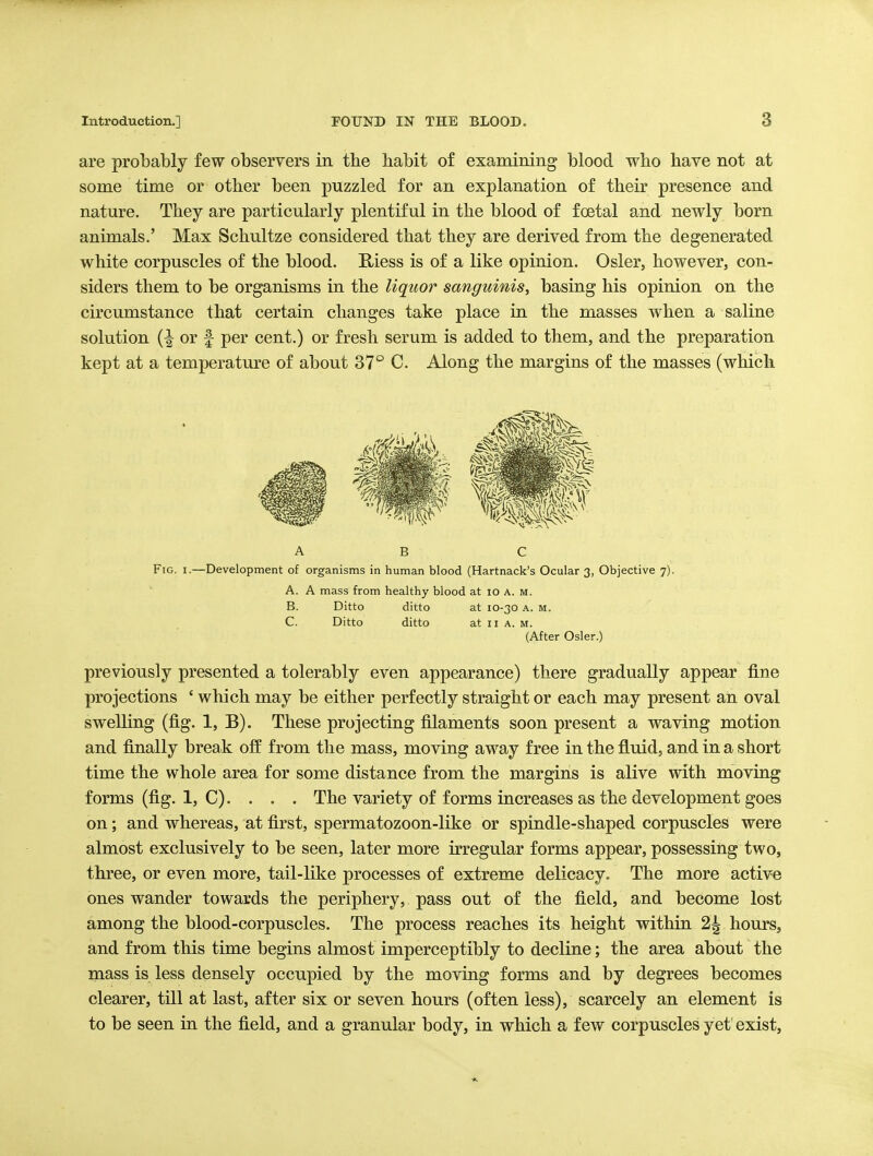are probably few observers in the habit of examining blood who have not at some time or other been puzzled for an explanation of their presence and nature. They are particularly plentiful in the blood of foetal and newly born animals.' Max Schultze considered that they are derived from the degenerated white corpuscles of the blood. E,iess is of a like opinion. Osier, however, con- siders them to be organisms in the liquor sanguinis, basing his opinion on the circumstance that certain changes take place in the masses when a saline solution {\ or f per cent.) or fresh serum is added to them, and the preparation kept at a temperature of about 37° C. Along the margins of the masses (which A B c Fig. I.—Development of organisms in human blood (Hartnack's Ocular 3, Objective 7). A. A mass from healthy blood at 10 A. m. B. Ditto ditto at 10-30 a. m. C. Ditto ditto at II A. m. (After Osier.) previously presented a tolerably even appearance) there gradually appear fine projections ' which may be either perfectly straight or each may present an oval swelling (fig. 1, B). These projecting filaments soon present a waving motion and finally break off from the mass, moving away free in the fluid, and in a short time the whole area for some distance from the margins is alive with moving forms (fig, 1, C). . . , The variety of forms increases as the development goes on; and whereas, at first, spermatozoon-like or spindle-shaped corpuscles were almost exclusively to be seen, later more irregular forms appear, possessing two, three, or even more, tail-like processes of extreme delicacy. The more active ones wander towards the periphery, pass out of the field, and become lost among the blood-corpuscles. The process reaches its height within 2| hours, and from this time begins almost imperceptibly to decline; the area about the mass is less densely occupied by the moving forms and by degrees becomes clearer, till at last, after six or seven hours (often less), scarcely an element is to be seen in the field, and a granular body, in which a few corpuscles yet exist,