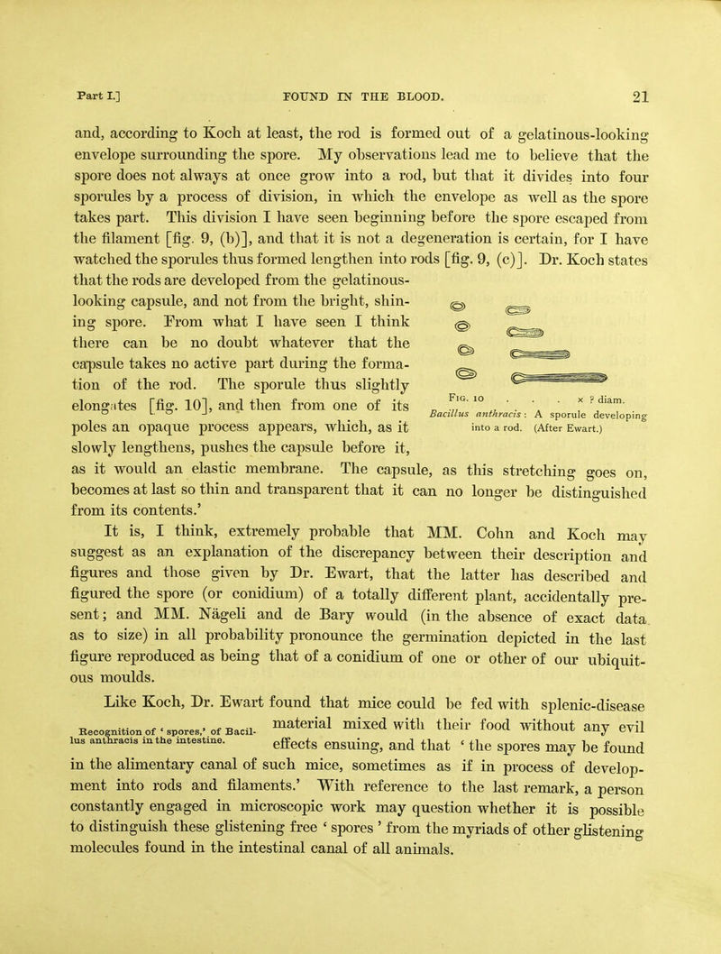 and, according to Koch at least, the rod is formed out of a gelatinous-looking envelope surrounding the spore. My observations lead me to believe that the spore does not always at once grow into a rod, but that it divides into four sporules by a process of division, in which the envelope as well as the spore takes part. This division I have seen beginning before the spore escaped from the filament [fig. 9, (b)], and that it is not a degeneration is certain, for I have watched the sporules thus formed lengthen into rods [fig. 9, (c)J. Dr. Koch states that the rods are developed from the gelatinous- looking capsule, and not from the bright, shin- ^ ing spore. Erom what I have seen I think @, there can be no doubt whatever that the «^ capsule takes no active part during the forma- tion of the rod. The sporule thus slightly elongates [fig. 101, and then from one of its „ ^° . \ ' T '  L. o J ■ Bacillus aiithracis: A sporule developing poles an opaque process appears, which, as it into a rod. (After Ewart.) slowly lengthens, pushes the capsule before it, as it would an elastic membrane. The capsule, as this stretching goes on, becomes at last so thin and transparent that it can no longer be distinguished from its contents.' It is, I think, extremely probable that MM. Cohn and Koch may suggest as an explanation of the discrepancy between their description and figures and those given by Dr. Ewart, that the latter has described and figured the spore (or conidium) of a totally different plant, accidentally pre- sent ; and MM. Nageli and de Bary would (in the absence of exact data as to size) in all probability pronounce the germination depicted in the last figure reproduced as being that of a conidium of one or other of our ubiquit- ous moulds. Like Koch, Dr. Ewart found that mice could be fed with splenic-disease BecognitionOf'spores.'Of Bacii. material mixcd with their food wdthout any evil lus anthracis inthe intestine. effects cusuing, and that ' the spores may be found in the alimentary canal of such mice, sometimes as if in process of develop- ment into rods and filaments.' With reference to the last remark, a person constantly engaged in microscopic work may question whether it is possible to distinguish these glistening free ' spores ' from the myriads of other glistening molecules found in the intestinal canal of all animals.