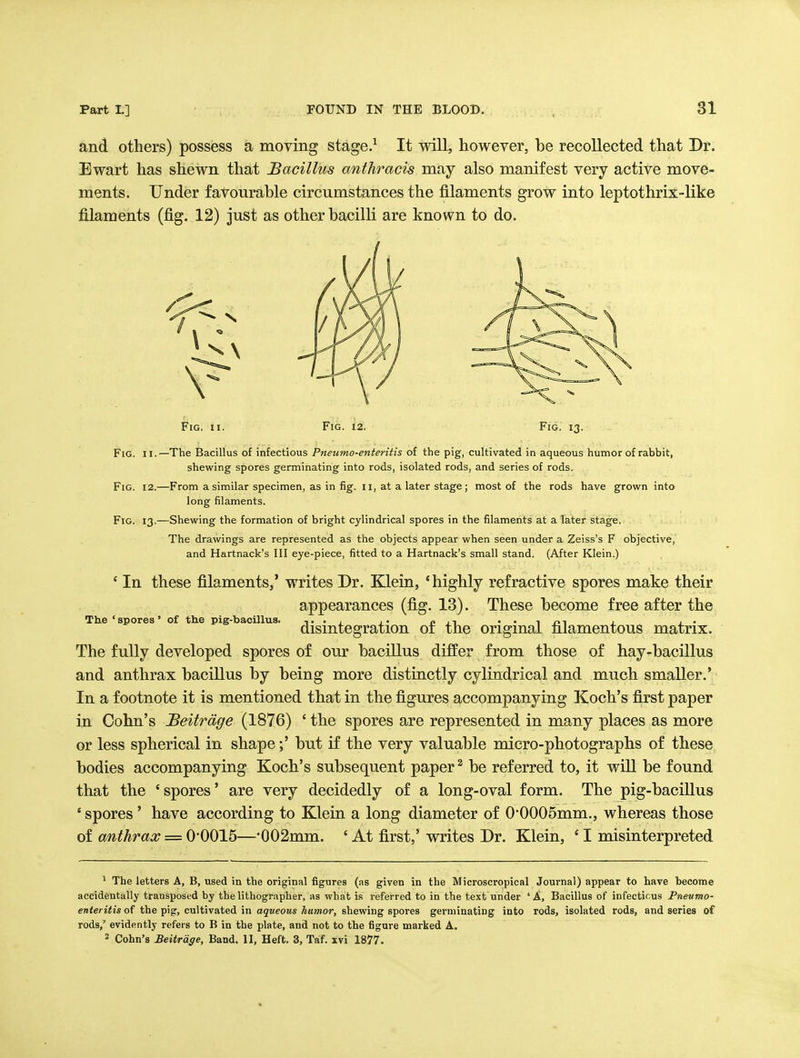 and others) possess a moying stage.^ It will, however, be recollected that Dr. Ewart has shewn that Bacillus anthracis may also manifest very active move- ments. Under favourable circumstances the filaments grow into leptothrix-like filaments (fig. 12) just as other bacilK are known to do. Fig. II. Fig. 12. Fig. 13. Tlie ' spores' of the pig-bacillus. Fig. II.—The Bacillus of infectious Pneumo-enteritis of the pig, cultivated in aqueous humor of rabbit, shewing spores germinating into rods, isolated rods, and series of rods. Fig. 12.—From a similar specimen, as in fig. ii, at a later stage ; most of the rods have grown into long filaments. Fig. 13.—Shewing the formation of bright cylindrical spores in the filaments at a later stage. The drawings are represented as the objects appear when seen under a Zeiss's F objective, and Hartnack's III eye-piece, fitted to a Hartnack's small stand. (After Klein.) * In these filaments,' writes Dr. Klein, 'highly refractive spores make their appearances (fig. 13). These become free after the disintegration of the original filamentous matrix. The fully developed spores of our bacillus differ from those of hay-bacillus and anthrax bacillus by being more distinctly cylindrical and much smaller.* In a footnote it is mentioned that in the figures accompanying Koch's first paper in Cohn's Beitrdge (1876) ' the spores are represented in many places as more or less spherical in shape;' but if the very valuable micro-photographs of these bodies accompanying Koch's subsequent paper ^ be referred to, it will be found that the ' spores' are very decidedly of a long-oval form. The pig-bacillus ' spores ' have according to Klein a long diameter of 0*0005mm., whereas those of anthrax = 0'0015—•002mm. ' At first,' writes Dr. Klein, ' I misinterpreted * The letters A, B, used in the original figures (as given in the Microscropical Journal) appear to have become accidentally transposed by the lithographer, as what is referred to in the text under 'A, Bacillus of infeetir.us Pneumo- enteritis of the pig, cultivated in aqueous humor, shewing spores germinating into rods, isolated rods, and series of rods,' evidently refers to B in the plate, and not to the figure marked A. 2 Cohn's Beitrdge, Band. II. Heft. 3, Taf. xvi 1877.