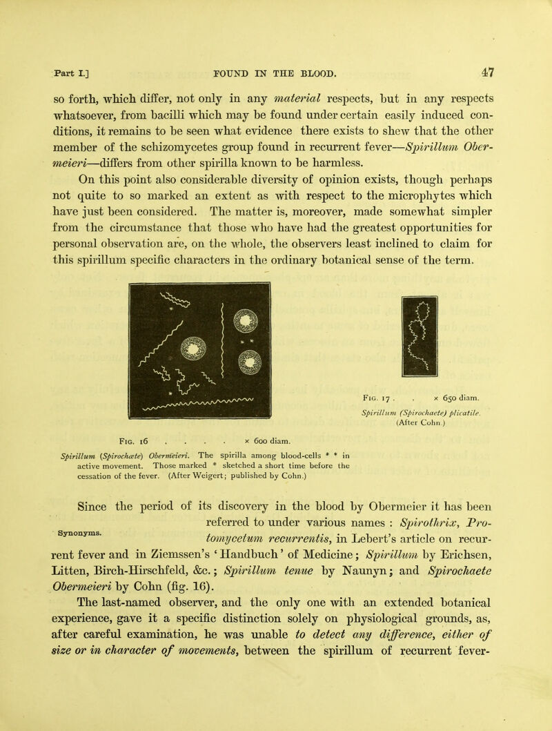 SO forth, wMcli differ, not only in any material respects, but in any respects whatsoever, from bacilli which may be found under certain easily induced con- ditions, it remains to be seen what evidence there exists to shew that the other member of the schizomycetes group found in recurrent fever—Spirillum Oher- meieri—differs from other spirilla known to be harmless. On this point also considerable diversity of opinion exists, though perhaps not quite to so marked an extent as with respect to the microphytes which have just been considered. The matter is, moreover, made somewhat simpler from the circumstance that those who have had the greatest opportunities for personal observation are, on the whole, the observers least inclined to claim for this spirillum specific characters in the ordinary botanical sense of the term. active movement. Those marked * sketched a short time before the cessation of the fever. (After Weigert; published by Cohn.) Since the period of its discovery in the blood by Obermeier it has been referred to under various names : SpirotJirix, Fro- synonyms. tomijcetum recurrentis, in Lebert's article on recur- rent fever and in Ziemssen's ' Handbuch' of Medicine; Spirillum by Erichsen, Litten, Birch-Hirschfeld, &c.; Spirillum tenue by Naunyn; and Spirochaete Obermeieri by Cohn (fig. 16). The last-named observer, and the only one with an extended botanical experience, gave it a specific distinction solely on physiological grounds, as, after careful examination, he was unable to detect any difference, either of size or in character of movements, between the spirillum of recurrent fever-