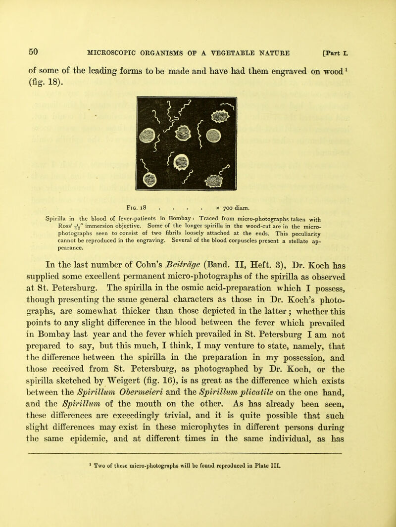 of some of the leading forms to be made and have had them engraved on wood ^ (fi§. 18). Fig. i8 • . . . x 700 diam. Spirilla in the blood of fever-patients in Bombay : Traced from micro-photographs taken with Ross' -jL immersion objective. Some of the longer spirilla in the wood-cut are in the micro- photographs seen to consist of two fibrils loosely attached at the ends. This peculiarity cannot be reproduced in the engraving. Several of the blood corpuscles present a stellate ap- pearance. In the last niimher of Cohn's Beitrdge (Band. II, Heft. 3), Dr. Koch has supplied some excellent permanent micro-photographs of the spirilla as observed at St. Petersburg. The spirilla in the osmic acid-preparation which I possess, though presenting the same general characters as those in Dr. Koch's photo- graphs, are somewhat thicker than those depicted in the latter; whether this points to any slight difference in the blood between the fever which prevailed in Bombay last year and the fever which prevailed in St. Petersburg I am not prepared to say, but this much, I think, I may venture to state, namely, that the difference between the spirilla in the preparation in my possession, and those received from St. Petersburg, as photographed by Dr. Koch, or the spirilla sketched by Weigert (fig. 16), is as great as the difference which exists between the Spirillum Obermeieri and the Spirillum plicatile on the one hand, and the Spirillum of the mouth on the other. As has already been seen, these differences are exceedingly trivial, and it is quite possible that such slight differences may exist in these microphytes in different persons during the same epidemic, and at different times in the same individual, as has Two of these micro-photographs will be found reproduced ia Plate III.