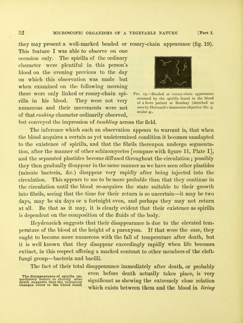 Fig. 19.—Beaded or rosary-chain appearance assumed by the spirilla found in the blood of a fever patient at Bombay (sketched as seen by Hartnack's immersion objective No. 9, ocular 4). they may present a well-marked beaded or rosary-cliam appearance (fig. 19). This feature I was able to observe on one occasion only. The spirilla of the ordinary character were plentiful in this person's blood on the evening previous to the day on which this observation was made but when examined on the following morning there were only linked or rosary-chain spi- rilla in his blood. They were not very numerous and their movements were not of that rushing character ordinarily observed, but conveyed the impression of tumbling across the field. The inference which such an observation appears to warrant is, that when the blood acquires a certain as yet undetermined condition it becomes unadapted to the existence of spirilla, and that the fibrils thereupon undergo segmenta- tion, after the manner of other scliizomycetes [compare with figure 11, Plate I], and the separated plastides become diffused throughout the circulation; possibly they then gradually disappear in the same manner as we have seen other plastides (minute bacteria, &c.) disappear very rapidly after being injected into the circulation. This appears to me to be more probable than that they continue in the circulation until the blood re-acquires the state suitable to their growth into fibrils, seeing that the time for their return is so uncertain—it may be two days, may be six days or a fortnight even, and perhaps they may not return at all. Be that as it may, it is clearly evident that their existence as spirilla is dependent on the composition of the fluids of the body. Heydenreich suggests that their disappearance is due to the elevated tem- perature of the blood at the height of a paroxysm^ If that were the case, they ought to become more numerous with the fall of temperature after death, but it is well known that they disappear exceedingly rapidly when life becomes extinct, in this respect oflFering a marked contrast to other members of the cleft- fungi group—bacteria and bacilli. The fact of their total disappearance immediately after death, or probably ^ . .„ . even before death actuallv takes place, is very The disappearance of spirilla im- ^ ' « a:d^'!nWeluLll significant as shewing the extremely close relation changes occur in the blood itself, i-i • i -i i ji in ii i • t • which exists between them and the blood m living