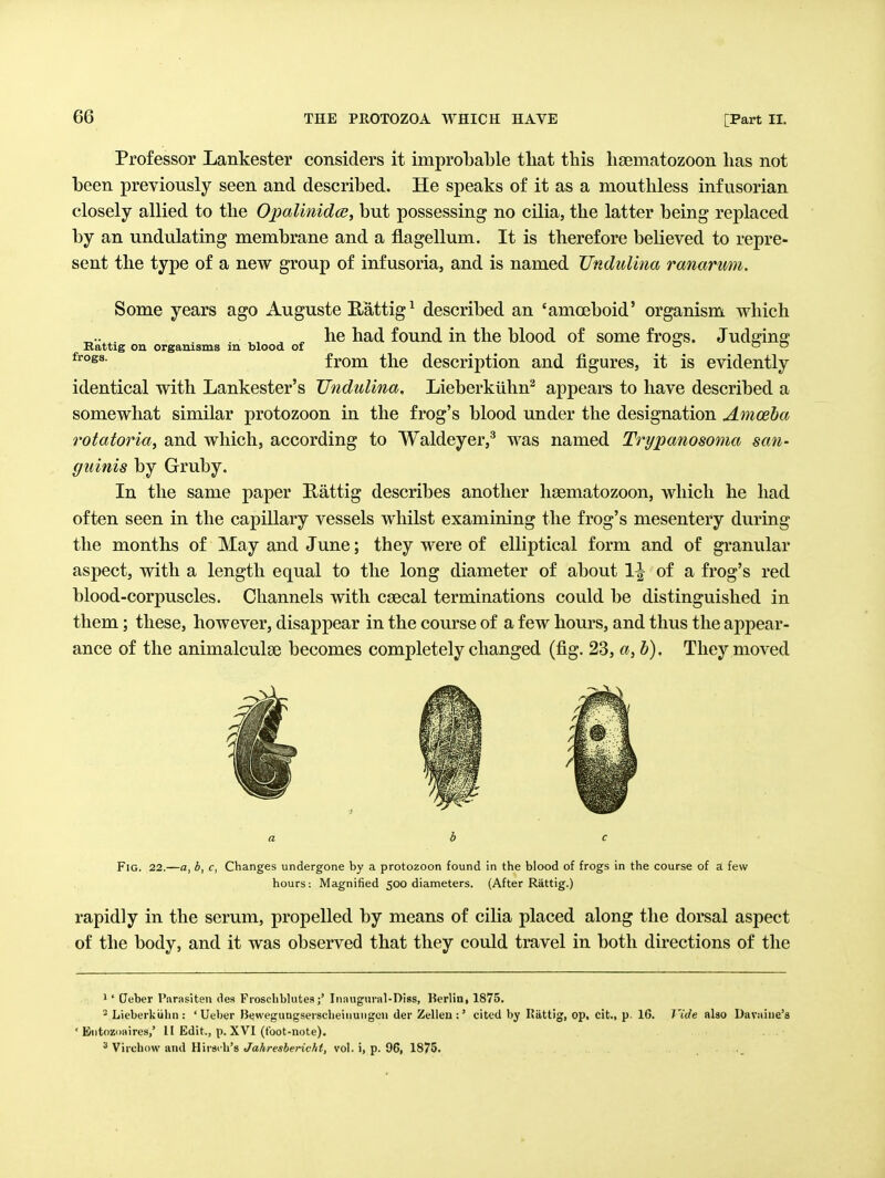 Professor Lankester considers it improbable that this hgematozoon has not been previously seen and described. He speaks of it as a mouthless infusorian closely allied to the OpalinidcB, but possessing no cilia, the latter being replaced by an undulating membrane and a flagellum. It is therefore believed to repre- sent the type of a new group of infusoria, and is named TJndulina ranarum. Some years ago Auguste Rattig ^ described an 'amoeboid' organism which . ^, , ^ he had found in the blood of some frogs. Judging Kattig on organisms m blood of o o o from the description and figures, it is evidently identical with Lankester's TJndulina. Lieberkiihn^ appears to have described a somewhat similar protozoon in the frog's blood under the designation Amoeba rotatoria, and which, according to Waldeyer,^ was named Trypanosoma sati- guinis by Gruby. In the same paper Rattig describes another lieematozoon, which he had often seen in the capillary vessels whilst examining the frog's mesentery during the months of May and June; they were of elliptical form and of granular aspect, with a length equal to the long diameter of about 1^ of a frog's red blood-corpuscles. Channels with csecal terminations could be distinguished in them; these, however, disappear in the course of a few hours, and thus the appear- ance of the animalculge becomes completely changed (fig. 23, a, h). They moved Fig. 22.—a, b, c, Changes undergone by a protozoon found in the blood of frogs in the course of a few hours: Magnified 500 diameters. (After Rattig.) rapidly in the serum, propelled by means of ciUa placed along the dorsal aspect of the body, and it was observed that they could travel in both directions of the ' ' Oeber Piirasiten des FroschblutesInaugural-Diss, Berlin, 1875. ^ Lieberkiihn : ' Ueber Bewegungserscheiiiuiigen der Zellen :' cited by Riittig, op, cit., p- 16. Tide also Davaiiie's ' Kntozoaires,' 11 Edit., p. XVI (tbot-note). ^ Virchow and Hirsih's Jahresberichf, vol. i, p. 96, 1875.
