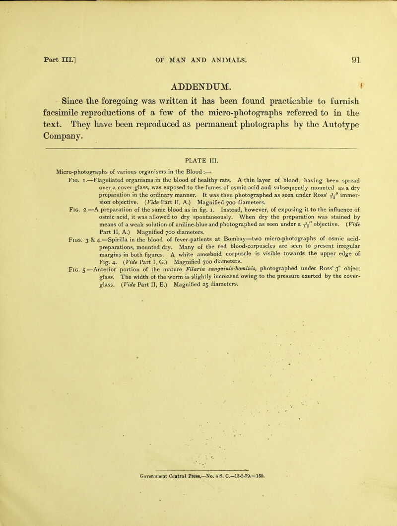 ADDENDUM. J Since the foregoing was written it has been found practicable to furnish facsimile reproductions of a few of the micro-photographs referred to in the text. They have been reproduced as permanent photographs by the Autotype Company. PLATE III. Micro-photographs of various organisms in the Blood :— Fig. 1.—Flagellated organisms in the blood of healthy rats. A thin layer of blood, having been spread over a cover-glass, was exposed to the fumes of osmic acid and subsequently mounted as a dry preparation in the ordinary manner. It was then photographed as seen under Ross' J^ immer- sion objective. {Vide Part II, A.) Magnified 700 diameters. Fig. 2.—A preparation of the same blood as in fig. i. Instead, however, of exposing it to the influence of osmic acid, it was allowed to dry spontaneously. When dry the preparation was stained by means of a weak solution of aniline-blue and photographed as seen under a J^ objective. (Vide Part II, A.) Magnified 700 diameters. Figs. 3 & 4.—Spirilla in the blood of fever-patients at Bombay—two micro-photographs of osmic acid- preparations, mounted dry. Many of the red blood-corpuscles are seen to present irregular margins in both figures. A white amoeboid corpuscle is visible towards the upper edge of Fig. 4. (Vide Part I, G.) Magnified 700 diameters. Fig. 5.—Anterior portion of the mature Filaria sanguinis-hominis, photographed under Ross' 3 object glass. The width of the worm is slightly increased owing to the pressure exerted by the cover- glass. {Vide Part II, E.) Magnified 25 diameters.