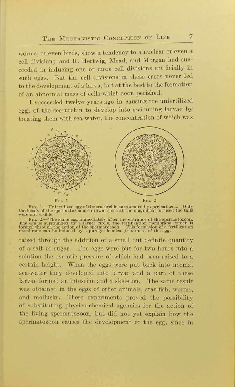 worms, or even birds, show a tendency to a nuclear or even a cell division; and R. Hertwig, Mead, and Morgan had suc- ceeded in inducing one or more cell divisions artificially in such eggs. But the cell divisions in these cases never led to the development of a larva, but at the best to the formation of an abnormal mass of cells which soon perished. I succeeded twelve years ago in causing the unfertilized eggs of the sea-urchin to develop into swimming larvae by treating them with sea-water, the concentration of which was Fig. 1 Fig. 2 Fig. 1.—Unfertilized egg of the sea-urchin surrounded by spermatozoa. Only the heads of the spermatozoa are drawn, since at the magnification used the tails were not visible. Fig. 2.—The same egg immediately after the entrance of the spermatozoon. The egg is surrounded by a larger circle, the fertilization membrane, which is formed through the action of the spermatozoon. This formation of a fertilization membrane can be induced by a purely chemical treatment of the egg. raised through the addition of a small but definite quantity of a salt or sugar. The eggs were put for two hours into a solution the osmotic pressure of which had been raised to a certain height. When the eggs were put back into normal sea-water they developed into larvae and a part of these larvae formed an intestine and a skeleton. The same result was obtained in the eggs of other animals, star-fish, worms, and mollusks. These experiments proved the possibility of substituting physico-chemical agencies for the action of the living spermatozoon, but did not yet explain how the spermatozoon causes the development of the egg, since in