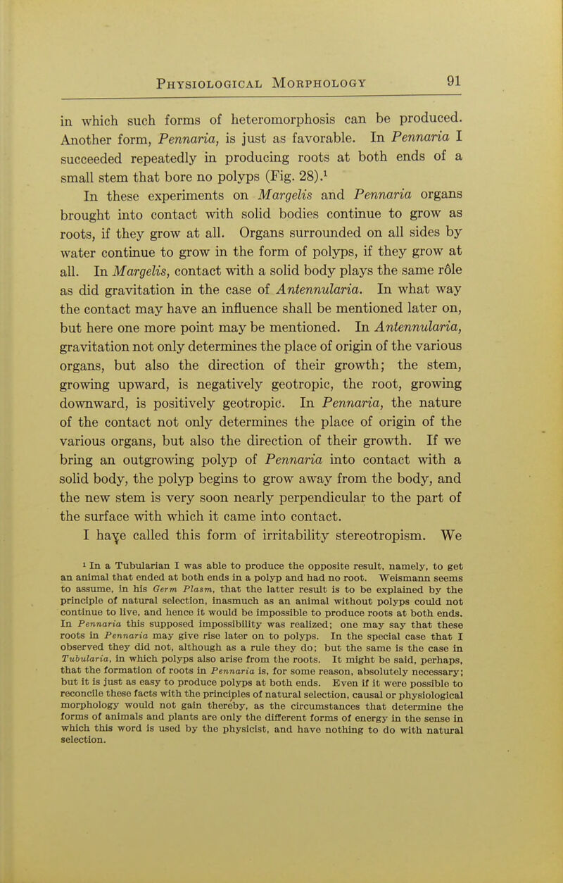 in which such forms of heteromorphosis can be produced. Another form, Pennaria, is just as favorable. In Pennaria I succeeded repeatedly in producing roots at both ends of a small stem that bore no polyps (Fig. 28).1 In these experiments on Margelis and Pennaria organs brought into contact with solid bodies continue to grow as roots, if they grow at all. Organs surrounded on all sides by water continue to grow in the form of polyps, if they grow at all. In Margelis, contact with a solid body plays the same r61e as did gravitation in the case of Antennularia. In what way the contact may have an influence shall be mentioned later on, but here one more point may be mentioned. In Antennularia, gravitation not only determines the place of origin of the various organs, but also the direction of their growth; the stem, growing upward, is negatively geotropic, the root, growing downward, is positively geotropic. In Pennaria, the nature of the contact not only determines the place of origin of the various organs, but also the direction of their growth. If we bring an outgrowing polyp of Pennaria into contact with a solid body, the polyp begins to grow away from the body, and the new stem is very soon nearly perpendicular to the part of the surface with which it came into contact. I ha^e called this form of irritability stereotropism. We 1 In a Tubularian I was able to produce the opposite result, namely, to get an animal that ended at both ends in a polyp and had no root. Weismann seems to assume, in his Germ Plasm, that the latter result is to be explained by the principle of natural selection, inasmuch as an animal without polyps could not continue to live, and hence it would be impossible to produce roots at both ends. In Pennaria this supposed impossibility was realized; one may say that these roots in Pennaria may give rise later on to polyps. In the special case that I observed they did not, although as a rule they do; but the same is the case in Tubularia, in which polyps also arise from the roots. It might be said, perhaps, that the formation of roots in Pennaria is, for some reason, absolutely necessary; but it is just as easy to produce polyps at both ends. Even if it were possible to reconcile these facts with the principles of natural selection, causal or physiological morphology would not gain thereby, as the circumstances that determine the forms of animals and plants are only the different forms of energy in the sense in which this word is used by the physicist, and have nothing to do with natural selection.