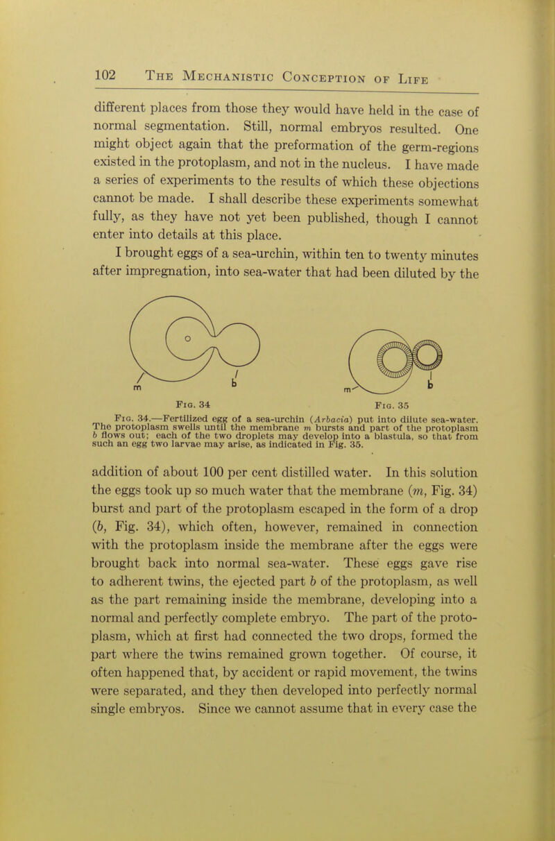 different places from those they would have held in the case of normal segmentation. Still, normal embryos resulted. One might object again that the preformation of the germ-regions existed in the protoplasm, and not in the nucleus. I have made a series of experiments to the results of which these objections cannot be made. I shall describe these experiments somewhat fully, as they have not yet been published, though I cannot enter into details at this place. I brought eggs of a sea-urchin, within ten to twenty minutes after impregnation, into sea-water that had been diluted by the Fig. 34 Fig. 35 Fig. 34.—Fertilized egg of a sea-urchin (Arbacia) put into dilute sea-water. The protoplasm swells until the membrane m bursts and part of the protoplasm 6 flows out; each of the two droplets may develop into a blastula, so that from such an egg two larvae may arise, as indicated in Fig. 35. addition of about 100 per cent distilled water. In this solution the eggs took up so much water that the membrane (m, Fig. 34) burst and part of the protoplasm escaped in the form of a drop (6, Fig. 34), which often, however, remained in connection with the protoplasm inside the membrane after the eggs were brought back into normal sea-water. These eggs gave rise to adherent twins, the ejected part b of the protoplasm, as well as the part remaining inside the membrane, developing into a normal and perfectly complete embryo. The part of the proto- plasm, which at first had connected the two drops, formed the part where the twins remained grown together. Of course, it often happened that, by accident or rapid movement, the twins were separated, and they then developed into perfectly normal single embryos. Since we cannot assume that in every case the