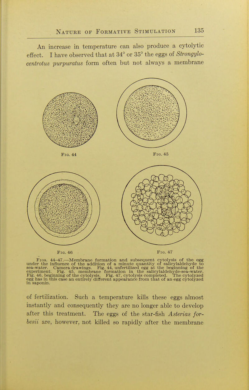 An increase in temperature can also produce a cytolytic effect. I have observed that at 34° or 35° the eggs of Strongylo- centrotus purpuratus form often but not always a membrane Fig. 46 Fig. 47 Figs. 44-47.—Membrane formation and subsequent cytolysis of the egg under the influence of the addition of a minute quantity of salicylaldehyde to sea-water. Camera drawings. Fig. 44, unfertilized egg at the beginning of the experiment. Fig. 45, membrane formation in the salicylaldehyde-sea-water. Fig. 46, beginning of the cytolysis. Fig. 47, cytolysis completed. The cytolyzed egg has in this case an entirely different appearance from that of an egg cytolyzed in saponin. of fertilization. Such a temperature kills these eggs almost instantly and consequently they are no longer able to develop after this treatment. The eggs of the star-fish Asterias for- besii are, however, not killed so rapidly after the membrane