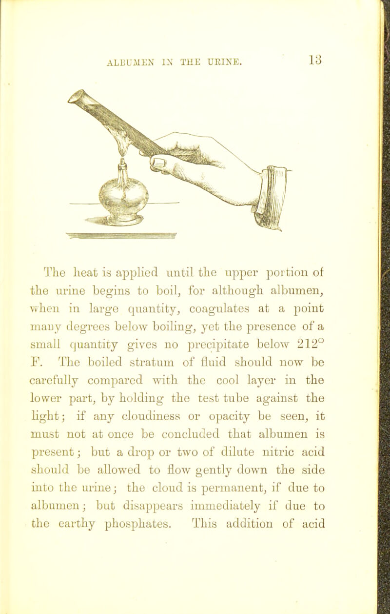 The heat is appHed until the upper portion of the urine begins to boil^ for although albumen, when in large quantity, coagulates at a point niauy degrees beloAV boiling, yet the presence of a small quantity gives no precipitate below 212° F. The boiled stratum of fluid should now be carefully compared with the cool layer in the lower part, by holding the test tube against the hght; if any cloudiness or opacity be seen, it must not at once be concluded that albumen is present; but a drop or two of dilute nitric acid should be allowed to flow gently down the side into the urine; the cloud is permanent, if due to albumen; but disappears immediately if due to the earthy phosphates. This addition of acid