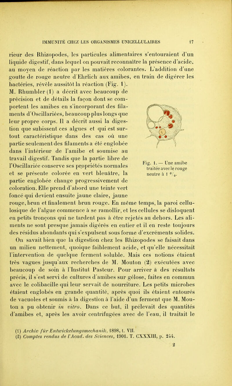 Fi g. 1 Une amibe traitée avec le rouge neutre à \ <•/(,. rieur des Rhizopodes, les particules alimentaires s'entouraient d'un liquide digestif, dans lequel on pouvait reconnaître la présence d'acide, au moyen de réaction par les matières colorantes. L'addition d'une goutte de rouge neutre d Ehrlich aux amibes, en train de digérer les bactéries, révèle aussitôt la réaction (Fig. l). M. Rhumbler (1) a décrit avec beaucoup de précision et de détails la façon dont se com- portent les amibes en s'incorporant des fila- ments d'Oscillariées, beaucoup plus longs que leur propre corps. Il a décrit aussi la diges- tion que subissent ces algues et qui est sur- tout caractéristique dans des cas où une partie seulement des filaments a été englobée dans l'intérieur de l'amibe et soumise au travail digestif. Tandis que la partie libre de rOscillariée conserve ses propriétés normales et se présente colorée en vert bleuâtre, la partie englobée change progressivement de coloration. Elle prend d'abord une teinte vert foncé qui devient ensuite jaune claire, jaune rouge, brun et finalement brun rouge. En même temps, la paroi cellu- losique de l'algue commence à se ramollir, et les cellules se disloquent en petits tronçons qui ne tardent pas à être rejetés au dehors. Les ali- ments ne sont presque jamais digérés en entier et il en reste toujours des résidus abondants qui s'expulsent sous forme d'excréments solides. On savait bien que la digestion chez les Rhizopodes se faisait dans un milieu nettement, quoique faiblement acide, et qu'elle nécessitait l'intervention de quelque ferment soluble. Mais ces notions étaient très vagues jusqu'aux recherches de M. Mouton (2) exécutées avec beaucoup de soin à l'Institut Pasteur. Pour arriver à des résultats précis, il s'est servi de cultures d'amibes sur gélose, faites en commun avec le colibacille qui leur servait de nourriture. Les petits microbes étaient englobés en grande quantité, après quoi ils étaient entourés de vacuoles et soumis à la digestion à l'aide d'un ferment que M. Mou- ton a pu obtenir in vitro. Dans ce but, il prélevait des quantités d'amibes et, après les avoir centrifugées avec de l'eau, il traitait le (1) Archiv fur Entwickehmgsmechanik, 1898, t. VII. (2) Comptes rendus de l'Acad. des Sciences, 1901. T. CXXXIII, p. 244. 2