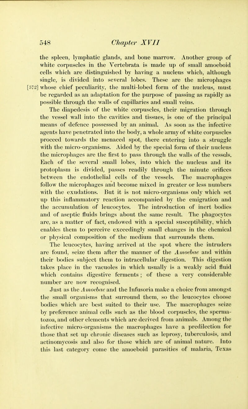 the spleen, lymphatic glands, and bone marrow. Another group of white corpuscles in the Vertebrata is made up of small amoeboid cells which are distinguished by having a nucleus which, although single, is divided into several lobes. These are the microphages [572] whose chief peculiarity, the multi-lobed form of the nucleus, must be regai'ded as an adaptation for the purpose of passing as rapidly as possible through the walls of capillaries and small veins. The diapedesis of the white corpuscles, their migration through the vessel M'all into the cavities and tissues, is one of the principal means of defence possessed by an animal. As soon as the infective agents have penetrated into the body, a whole army of white corpuscles proceed towards the menaced spot, there entering into a struggle with the micro-organisms. Aided by the special form of their nucleus the microphages are the first to pass through the walls of the vessels. Each of the several small lobes, into which tlie nucleus and its protoplasm is divided, passes readily through the minute orifices between the endothelial cells of the vessels. The macrophages follow the microphages and become mixed in greater or less numbers with the exudations. But it is not mici'o-organisms only which set up this inflammatory reaction accompanied by the emigration and the accumulation of leucocytes. The introduction of inert bodies and of asei)tic fluids brings about the same result. The phagocytes are, as a matter of fact, endowed with a special susceptibility, M'hich enables them to perceive exceedingly small changes in the chemical or physical composition of the medium that surrounds them. The leucocytes, having arrived at the spot where the intruders are found, seize them after the manner of the Ainochac and within their bodies subject them to intracellular digestion. This digestion takes place in the vacuoles in which usually is a weakly acid fluid which contains digestive ferments ; of these a very considerable number are now recognised. Just as the Amoebae and the Infusoria make a choice from amongst the small organisms that surround them, so tlie leucocytes choose bodies which arc best suited to their use. The macrophages seize by preference animal cells such as the blood corpuscles, the sperma- tozoa, and other elements whicii are derived from animals. Among the infective micro-organisms the macr()i)hages have a predilection for those that set up chronic diseases such as leprosy, tuberculosis, and actinomycosis and also for tliose which are of animal nature. Into this last category come the amoeboid i)arasities of malaria, Texas