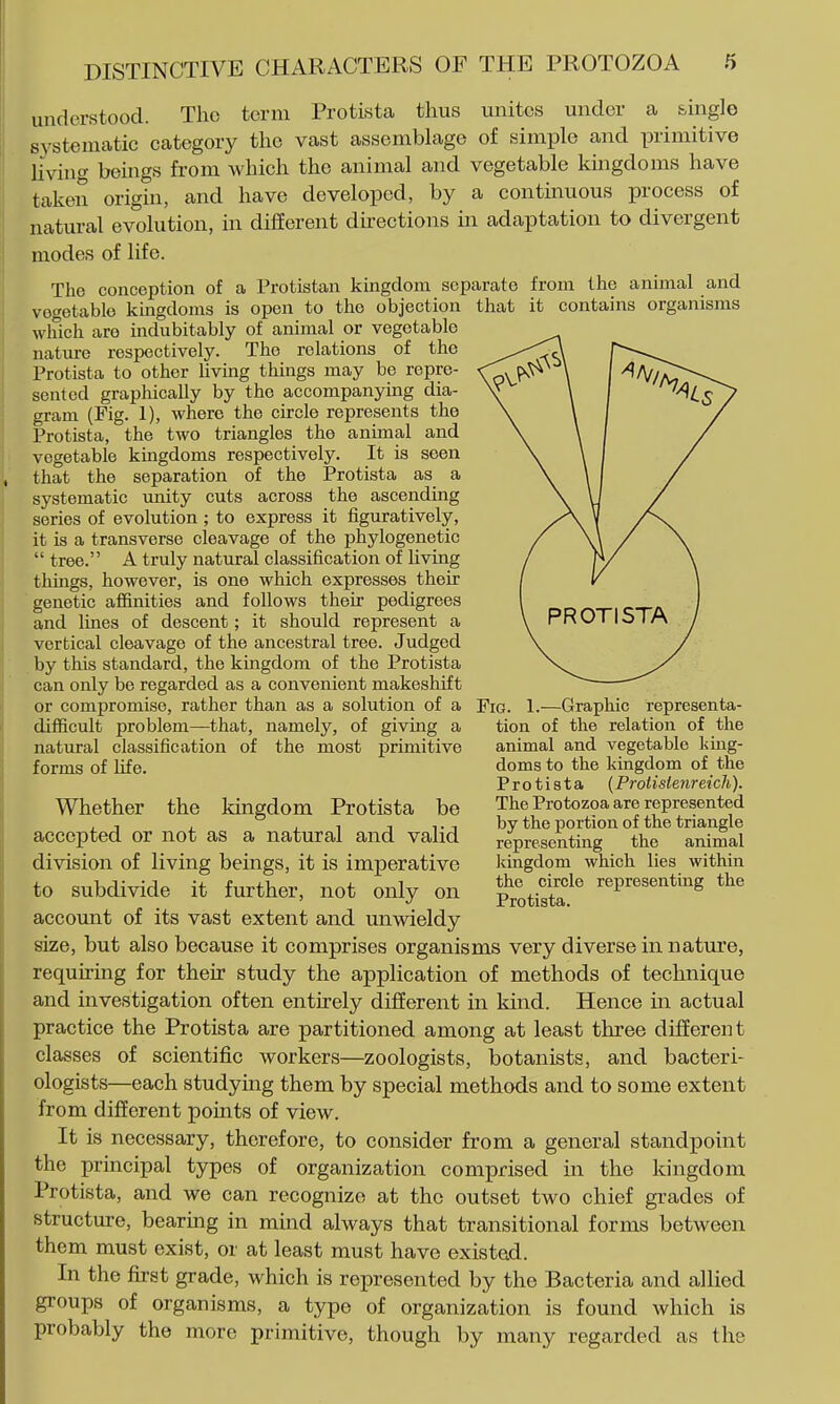 understood. The term Protista thus unites under a single systematic category the vast assemblage of simple and primitive livint^ beings from which the animal and. vegetable kuigdoms have taken origin, and have developed, by a continuous process of natural evolution, in difierent dkections in adaptation to divergent modes of life. The conception of a Protistan kingdom separate from the animal and vef^etable kingdoms is open to the objection that it contains organisms which are indubitably of animal or vegetable nature respectively. The relations of the Protista to other living things may be repre- sented graphically by the accompanying dia- gram (Fig. 1), where the circle represents the Protista, the two triangles the animal and vegetable kingdoms respectively. It is seen that the separation of the Protista as a systematic unity cuts across the ascending series of evolution ; to express it figuratively, it is a transverse cleavage of the phylogenetic  tree. A truly natural classification of living things, however, is one which expresses their genetic affinities and follows their pedigrees and lines of descent; it should represent a vertical cleavage of the ancestral tree. Judged by this standard, the kingdom of the Protista can only be regarded as a convenient makeshift or compromise, rather than as a solution of a Pro. 1 difficult problem—that, namely, of givmg a natural classification of the most primitive forms of life. Graphic representa- tion of the relation of the animal and vegetable king- doms to the kingdom of the Protista (Protisienreich). The Protozoa are represented by the portion of the triangle representing the animal ]?ingdom which lies within the circle representing the Protista. Whether the kingdom Protista be accepted or not as a natural and valid division of living beings, it is imperative to subdivide it further, not only on account of its vast extent and unwieldy size, but also because it comprises organisms very diverse innatiire, requiring for their study the application of methods of technique and investigation often entirely different in kind. Hence in actual practice the Protista are partitioned among at least three different classes of scientific workers—zoologists, botanists, and bacteri- ologists—each studying them by special methods and to some extent from different points of view. It is necessary, therefore, to consider from a general standpoint the principal types of organization comprised in the kingdom Protista, and we can recognize at the outset two chief grades of Structure, bearing in mind always that transitional forms between them must exist, or at least must have existed. In the first grade, which is represented by the Bacteria and allied groups of organisms, a type of organization is found which is probably the more primitive, though by many regarded as the