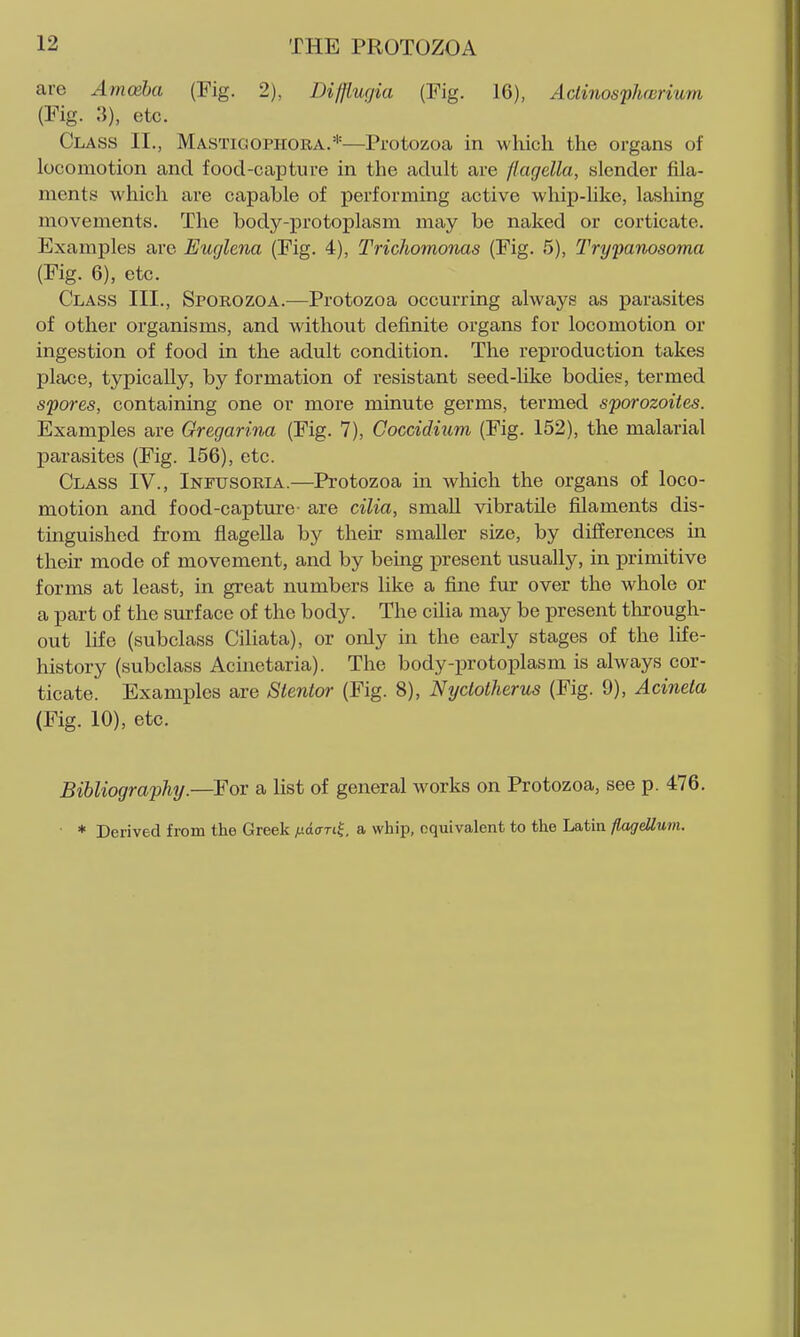 are Amoeba (Fig. 2), Difflufjia (Fig. 16), AclinosphcBrium (Fig. 3), etc. Class II., Mastigophora.*—Protozoa in which the organs of locomotion and food-capture in the adult are flagella, slender fila- ments which are capable of performing active whip-Uke, lashing movements. The body-protoplasm may be naked or corticate. Examples are Euglena (Fig. 4), Trichomonas (Fig. 5), Trypanosoma (Fig. 6), etc. Class III., Sporozoa.—Protozoa occurring always as parasites of other organisms, and without definite organs for locomotion or ingestion of food in the adult condition. The reproduction takes place, typically, by formation of resistant seed-like bodies, termed spores, containing one or more minute germs, termed sporozoites. Examples are Gregarina (Fig. 7), Coccidium (Fig. 152), the malarial parasites (Fig. 156), etc. Class IV., Infusoria.—Protozoa in which the organs of loco- motion and food-capture- are cilia, small vibratile filaments dis- tinguished from flagella by their smaller size, by differences in their mode of movement, and by being present usually, in primitive forms at least, in great numbers like a fine fur over the whole or a part of the surface of the body. The cilia may be present tlxrough- out life (subclass Ciliata), or only in the early stages of the life- history (subclass Acinetaria). The body-protoplasm is always cor- ticate. Examples are Stentor (Fig. 8), Nyctotherus (Fig. 9), Acinela (Fig. 10), etc. Bibliography.—For a list of general works on Protozoa, see p. 476. • * Derived from the Greek juao-ri^, a whip, equivalent to the Latin flagellum.