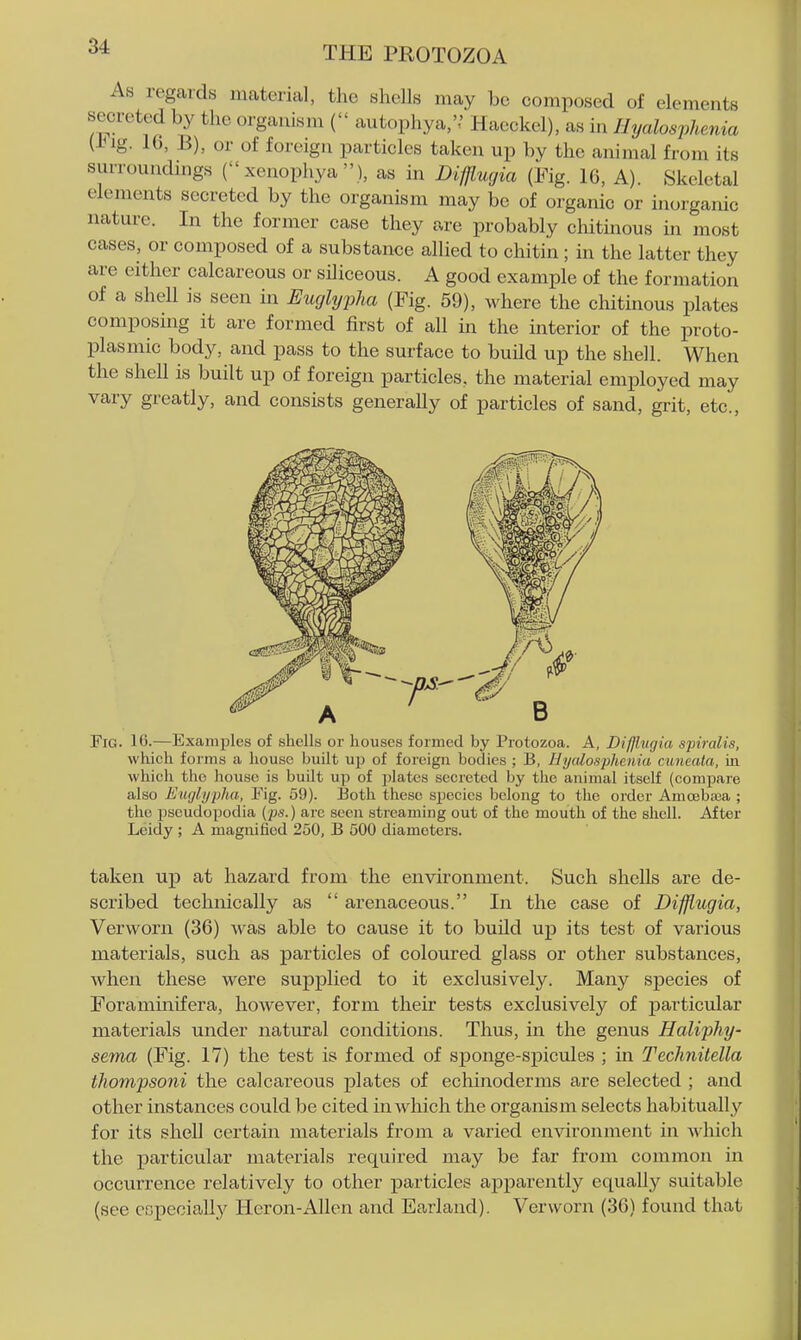 As regards material, the shells may be composed of elements secreted by the organism ( autophya,',' Hacckel). as in Ilyalosphenia (Hig. 16, B), or of foreign particles taken up by the animal from its surroundings ( xenophya ), as in Difflurjia (Fig. 16, A). Skeletal elements secreted by the organism may be of organic or inorganic nature. In the former case they are probably chitinous in most cases, or composed of a substance allied to chitin; in the latter they are either calcareous or siliceous. A good example of the formation of a shell is seen in Euglyjjha (Fig. 59), where the chitinous plates composing it are formed first of all in the interior of the proto- plasmic body, and pass to the surface to build up the shell. When the shell is built up of foreign particles, the material employed may vary greatly, and consists generally of particles of sand, grit, etc.. Fig. 16.—Examples of shells or houses formed by Protozoa. A, Difjlw/ia sjnralis, which forms a house built up of foreign bodies ; B, Ilyalosphenia cuneala, in which the house is buUt up of plates secreted by the animal itself (compare also Euglyyha, Fig. 59). Both these species belong to the order Amcebwa ; the i^seudopodia (ps.) arc seen streaming out of the mouth of the shell. After Leidy ; A magnified 250, B 500 diameters. taken up at hazard from the environment. Such shells are de- scribed technically as  arenaceous. In the case of Difflugia, Verworn (36) was able to cause it to build up its test of various materials, such as particles of coloured glass or other substances, when these were supplied to it exclusively. Many species of Foraminifera, however, form their tests exclusively of particular materials under natural conditions. Thus, in the genus Haliphy- sema (Fig. 17) the test is formed of sponge-spicules ; in Technitella thom'psoni the calcareous plates of echinoderms are selected ; and other instances could be cited in which the organism selects habitually for its shell certain materials from a varied environment in ■v\-hich the particular materials required may be far from common in occurrence relatively to other particles apparently equally suitable (see eopecially Heron-Allen and Earland). Verworn (36) found that