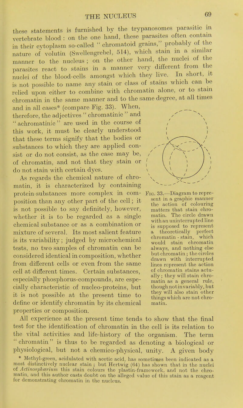 these statements is furnished by the trypanosomes parasitic m vertebrate blood : on the one hand, these parasites often contain in their cytoplasm so-called chromatoid grains, probably of the nature of volutin (Swellengrebel, 514), which stain in a similar manner to the nucleus ; on the other hand, the nuclei ot the parasites react to stains in a manner very different from the nuclei of the blood-cells amongst which they live. In short, it is not possible to name any stain or class of stains which can be relied upon either to combine with chromatin alone, or to stain chromatin in the same manner and to the same degree, at all times and in all cases* (compare Fig. 33). When, therefore, the adjectives chromatinic and achromatinic are used in the course of this work, it must be clearly understood that these terms signify that the bodies or substances to which they are applied con- sist or do not consist, as the case may be, of chromatin, and not that they stain or do not stam with certain dyes. As regards the chemical nature of chro- matin, it is characterized by containing protein-substances more complex in com- position than any other part of the cell; it is not possible to say definitely, however, whether it is to be regarded as a single chemical substance or as a combination or mixture of several. Its most salient feature is its variability; judged by microchemical tests, no two samples of chromatin can be considered identical in composition, whether from different cells or even from the same cell at different times. Certain substances, especially phosphorus-compounds, are espe- cially characteristic of nucleo-proteins, but it is not possible at the present time to define or identify chromatin by its chemical properties or composition. All experience at the present time tends to show that the final test for the identification of chromatin in the cell is its relation to the vital activities and life-history of the organism. The term chromatin is thus to be regarded as denoting a biological or physiological, but not a chemico-physical, unity. A given body * Methyl-green, acidulated with acetic acid, has sometimes been indicated as a most distinctively nuclear stain ; but Hertwig (64) has shown that in the nuclei of Aclinosphcerium this .stain colours the plastin-framcwork, and not the chro- matin, and this author casts doubt on the alleged value of this stain as a reagent for demonstrating chromatin in the nucleus. Fig. 33.—Diagram to repre- sent in a graphic manner the action of colouring matters that stain chro- matin. The circle drawn with an uninterrupted lino is supposed to represent a theoretically perfect chromatin - stain, which would stain chromatin always, and nothing else but chromatin; the circles drawn with interrupted lines represent the action of chromatin stains actu- ally ; they will stain chro- matin as a general rule, though notinvariably, but they will also stain other things which are not chro- matin.