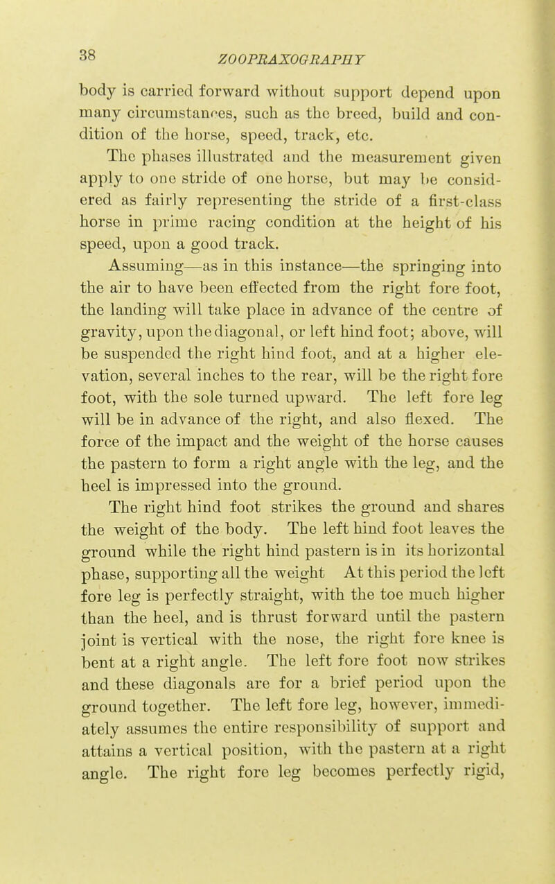 body is carried forward without support depend upon many circumstanr-es, such as the breed, build and con- dition of the horse, speed, track, etc. The phases ilhistrated and the measurement given apply to one stride of one horse, but may be consid- ered as fairly representing the stride of a first-class horse in prime racing condition at the height of his speed, upon a good track. Assuming—as in this instance—the springing into the air to have been effected from the right fore foot, the landing will take place in advance of the centre of gravity, upon the diagonal, or left hind foot; above, will be suspended the right hind foot, and at a higher ele- vation, several inches to the rear, will be the right fore foot, with the sole turned upward. The left fore leg will be in advance of the right, and also flexed. The force of the impact and the weight of the horse causes the pastern to form a right angle with the leg, and the heel is impressed into the ground. The right hind foot strikes the ground and shares the weight of the body. The left hind foot leaves the ground while the right hind pastern is in its horizontal phase, supporting all the weight At this period the left fore leg is perfectly straight, with the toe much higher than the heel, and is thrust forward until the pastern joint is vertical with the nose, the right fore knee is bent at a right angle. The left fore foot now strikes and these diagonals are for a brief period upon the ground together. The left fore leg, however, immedi- ately assumes the entire responsibility of support and attains a vertical position, with the pastern at a right angle. The right fore leg becomes perfectly rigid.