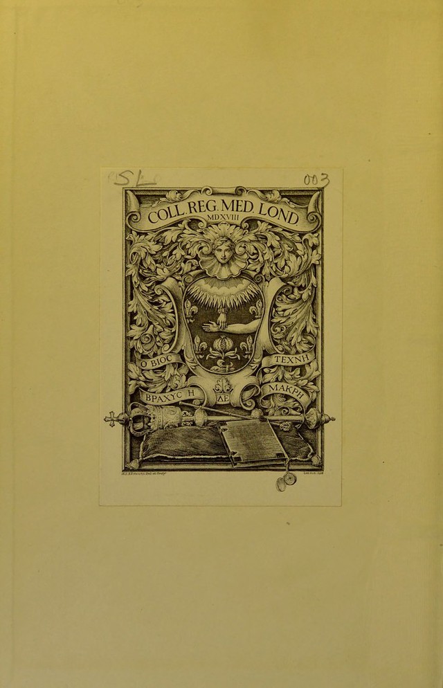 digitised image 2