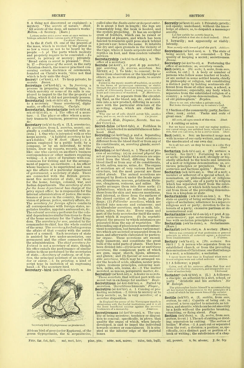 2. A tiling not discovered or explained; a mystery. 'The secrets of nature.' Shale. 'All secrets ot the deep, all nature's works.' Milton.—3. Secrecy. [Rare.] Letters under strict secret were at once written to bisliops selected from various parts of Europe. Cardinal Maiming: 4. In the R. Cath. Ch. one of the prayers of the mass, which is recited by the priest in so low a voice as not to be heard by the people.—5. pi. The parts which modesty and propriety require to be concealed.—//* secret, in privacy or secrecy; privately. 'Bread eaten in secret is pleasant. Prov. ix. 17.—Discipline of the secret, in the early Christian church, the reserve practised con- cerning certain doctrines or ceremonies, founded on Christ's words, ' Give not that which is holy unto the dogs.' Secret t (se'lcret), ui. To keep private; to secrete. Bacon. Secretage (se'kret-aj), n. In furriery, a process in preparing or dressing furs, in which mercury or some of its salts is em- ployed to impart to the fur the property of felting, which it did not previously possess. Secretarial (sek-re-til'ri-al), a. Pertaining to a secretary. ' Some secretarial, diplo- matic, or otlicial training.' Carlyle. Secretariat, Secretariate (sek-re-tii'ri-at, sek-re-ta'ri-at), n. 1. Tlie offlce of a secre- tary.— 2. The place or office where a secre- tary transacts business, preserves records, Secretary (sek're-ta-ri), n. [L.X. secretarius, Vi: secretaire, from L. secretus, secret; ori- ginally a confidant, one intrusted with se- crets.] 1. One who is intrusted with or who keeps secrets. 'A faithful secretary to her sex's foibles.' Sir W. Scott. [Rare.] —2. A person employed by a public body, by a company, or by an individual, to write letters, draw np reports, records, and the like; one who carries on another's business correspondence or other matters requiring writing.—3. A piece of furniture witli con- veniences for writing and for the arrange- ment of papers; an escritoire.—4. An officer whose business is to superintend and man- age the affairs of a particular department of government; a secretary of state. 'There are connected with tlie British govern- ment five secretaries of state, viz. tliose for the home, foreign, colonial, war, and Indian departments. 'The secretary of state for the home department has charge of the privy signet office; he is responsible for the Internal administration of justice, the main- tenance of peace in the country, the super- vision of prisons, police, sanitary affairs, &c. The secretary for foreign affairs conducts all correspondence with foreign states, ne- gotiates treaties, appoints ambassadors, &c. 'The colonial secretary performs for the colo- nial dependencies similar functions to those of the home secretary for the United King- dom, Tile secretary for war, assisted by the commander-in-chief, has the whole control of the army. 'The secretary forlndia governs tlie affairs of that country with the assist- ance of a council. Each secretary of state is assisted by two under-secretaries, one permanent and the other connected with the administration. The chief secretary for Ireland is not a secretary of state, though his office entails the performance of similar duties to tliose performed by the secretaries of state.—Secretary of embassy, or of lega- tion, the principal assistant of an ambassa- dor or envoy. — 5. In printing, a kind of script type in imitation of an engrossing hand.—6. The secretary-bird. Secretary-bird (sek're-ta-ri-berd), n. An Secretary-bird {Gyfiogerajius serpentarilis). African bird of prey (order Raptores), of the genus Gypogeranus, the G. serpentarius, called also the Snake-eater ovSerpent-eater. It is about 'i feet in length; the legs are remarkably long, the beak is hooked, and the eyelids projecting. It has an occipital crest of feathers, wliich can be raised or depressed at pleasure, and which has been fancied to resemble quill pens stuck behind a person's ear; hence the name. It inliabits the dry and open grounds in tlie vicinity of the Cape, where it hunts serpents and other reptiles on foot, and thus renders valuable services. Secretaryship (sek're-ta-ri-sliip), n. The office of a secretary. Secrete (se-kref), v.t. pret. & pp. secreted; ppr. secreting. [L. secerno, secretmn. See Secret, a.] 1. To hide; to conceal; to re- move from observation or the knowledge of others; as, to secrete stolen goods; to secrete one's self. Folded ill the mystic mantle of tradition, or secreted in the forms of picturesque ceremony, or visible through the glow of affectionate fiction, the essenti.d truths of Christianity found a living access to the heart and conscience of mankind. y. Martinean. 2. In physiol. to separate from the circulat- ing fluiti, as the blood, sap, &c., and elabo- rate into a new product, differing in accord- ance with the particular structure of the secreting organs, which are chiefly the glands. Why one set of cells should secrete bile, another urea, and so on, we do not know. Carpenler. —Conceal, Hide, Disguise, Secrete. See un- der Conceal. Secret-false (se'kret-fals), a. Faithless in secret; undetected in unfaithfulness orfalse- hood. Shak. Secreting (se-kret'ing), p. and a. Separating and elaborating from the blood sulistances different from the blood itself or from any of its constituents; as, secreting glands; secret- ing surfaces. Secretion (se-kre'shon), n. 1. The act or pro- cess of secreting: (a) in animal physiol. the act or process by which substances are sepa- rated from the blood, differing from the blood itself or from any of its constituents, as bile, saliva, mucus, urine, etc. The organs of secretion are of very various form and structure, but the most general are those called glands. The animal secretions are arranged by Bostock under the heads aque- ous, albuminous, mucous, gelatinous, fibrin- ous, oleaginous, resinous, and saline. Ma- gendie arranges them into three sorts: (1) Exhalations, which are either external, as those from tlie skin and mucous membrane, and internal, as those from the surfaces of the closed cavities of the body, and the lungs; (2) Follicular secretions, v/hich are divided into mucous and cutaneous; and (3) Glandular secretions, such as milk, bile, urine, saliva, tears, etc. Every organ ancl part of the body secretes for itself the nutri- ment whicli it requires, (b) In vegetable physiol. the process l)y which substances are separated from the sap of vegetables. The descending sap of plants is not merely subser- vient to nutrition, but furnishes various mat- ters which are secreted or separated from its mass, and afterwards elaborated by particu- lar organs. These secretions are exceed- ln.gly numerous, and constitute the great bulk of the solid parts of plants. Tliey have been divided into—(!) General ov nutritious secretions, the component parts of which are gum, sugar, starch, lignin, albumen, and gluten; and (2) Special ov no7i-assimil- able secretions, which may be arranged un- der the heads of acids, alkalies, neuter prin- ciples, I'esinons principles, colouring mat- ters, milks, oils, resins, &c. —2. The matter secreted, as mucus, perspirable matter, &c. Secretistt (se'kret-ist),?i. A dealer in secrets. ' Those secretists, that will not part with one secret but in exchange for another.' Boyle. Secretitious (se-kre-tish'us), a. Parted by secretion. 'Secretitiousimmanvi,.' Floyer., Secretive (se-kre'tiv), a. 1. Causing or pro- moting secretion.—2. Given to secrecy or to keep secrets; as, he is very secretive; of a secretive disposition. In England the power of the Newspaper stands in antagonism with the feudal institutions, and it is all the more beneficent succour against the secretive tendencies of a monarchy. Emerso?i. Secretiveness (se-kre'tiv-nes), n. The qua- lity of being secretive; tendency or disposi- tion to conceal; specifically, in phren. that quality the organ of which, when largely developed, is said to impel the individual towards secrecy or concealment. It is situ- ated at the inferior edge of the parietal bones. Secretly(se'kret-li),aa!«. l.Privately;privily; not openly; underliand; without the know- ledge of others; as, to despatch a messenger secretly. Let her awhile be secretly kept in. And publish it that she is dead indeed. ShaA\ 2. Inwardly; not apparently or visibly; latently. Now secretly with inward grief she pin'd. Addison. Secretness (se'kret-nes), n. 1. The state of being secret, hid, or concealed. — 2. The quality of keeping a secret; secretiveness. Donne. Secretory (se-kre'to-ri), a. Performing the office of secretion; as, secretory vessels. Sect (sekt),n. [Fr. secte; L. secta,ivom seco, sectum, to cut,] 1. A body or number of persons who follow some teacher or leader, or are united in some settled tenets, chiefly in philosophy or religion, but constituting a distinct party by holding sentiments dif- ferent from those of other men; a school; a denomination; especially, any body which separates from the established religion of a country; a religious denomination. 'Sects of old philosophers.' Dryden. Slave to no sect, who takes a private road. But looks through nature up to nature's God. Pofe. 2. t Section of the community; party; faction; class; rank; order. 'Packs and sects of great ones.' Shak. All sects, all ages smack of this vice. S/iaA'. 3. t A cutting or scion. But we have reason to coo! our raging motions, our carnal stings, our unbitted lusts, whereof I take this, that you call love, to be a sect or scion. Shak. Sect (sekt), 11. Sex: an incorrect usage met with in some of our early writers, and among the uneducated of our own day. So is all her sect; an they be once in a calm they are sick. Shak. Sectarian (sek-ta'ri-an), a. [Fr. sectaire, a sectary. See SECT. 1 Pertaining to a sect or sects; peculiar to a sect; strongly or big- otedly attached to the tenets and interests of a sect or religious denomination; as, sec- tarian principles or prejudices. 'Men of sectarian and factious spirits.' Barrow. Sectarian (sek-ta'ri-an), 71. One of a sect; a member or adherent of a special school, de- nomination, or philosophical or religious party; especially, one of a party in religion which has separated itself from the estab- lished church, or which holds tenets differ- ent from those of the prevailing denomina- tion in a kingdom or state. Sectarianism (sek-ta'ri-an-izm ), n. The state or quality of being sectarian; the prin- ciples of sectarians; adherence to a separate religious sect or party; devotion to the in- terests of a party; excessive partisan or de- nominational zeal. Sectarianize (sek-til'ri-an-iz), v. t. pret. & pp. sectarianized; ppr. sectarianizitig. To im- bue with sectarian principles or feelings. Sectarism (sek'ta-rizm), n. Sectarianism. [Rare. ] Sectarist (sek'ta-rist), n. A sectary. [Rare.] Milton was certainly of that profession or general principle in which all sectarists agree: a departure from establishment. T. ll'arton. Sectary (sek'ta-ri), n. [Fr. sectaire. See Sect. ) 1. A person who separates from an established church, or from the prevailing denomination of Christians; one that belongs to a sect; a schismatic; a sectarian. I never knew that time in England when men of truest religion were not called sectaries. Milton. 2.t A follower; a pupil. Galen, and all liis sectaries affirm that fear and sadness are the true characters, and inseparable acci- dents of melancholy. Chilmead. Sectatort (sek ta'ter), n. [L.] A follower; a disciple; an adherent to a sect, school, or party. 'Aristotle and his sectators.' Sir W. Raleigh. The philosopher busies himself in accommodating all her (nature's) appearances to the principles of a school of which he has sworn himself the sectator. JVarbnrtoJi. Sectile (sek'til), a. [L. sectilis, from seco, sectum, to cut.] Capable of being cut; in mineral, a term applied to minerals, as talc mica, and steatite, which can be cut smoothly by a knife without the particles breaking, crumbling, or flying about. Page. Section (sek'shon), n. [L. sec.tio, from seco. seciwm, to cut. ] 1.The act of cuttingordivid- ing; separation by cutting. 'The section of bodies.' Wotton.—2. A part cut or separated from the rest; a division; a portion; as, spe- I cifically, (a) a distinct part or portion of a I book or writing; the subdivision of a cha])-