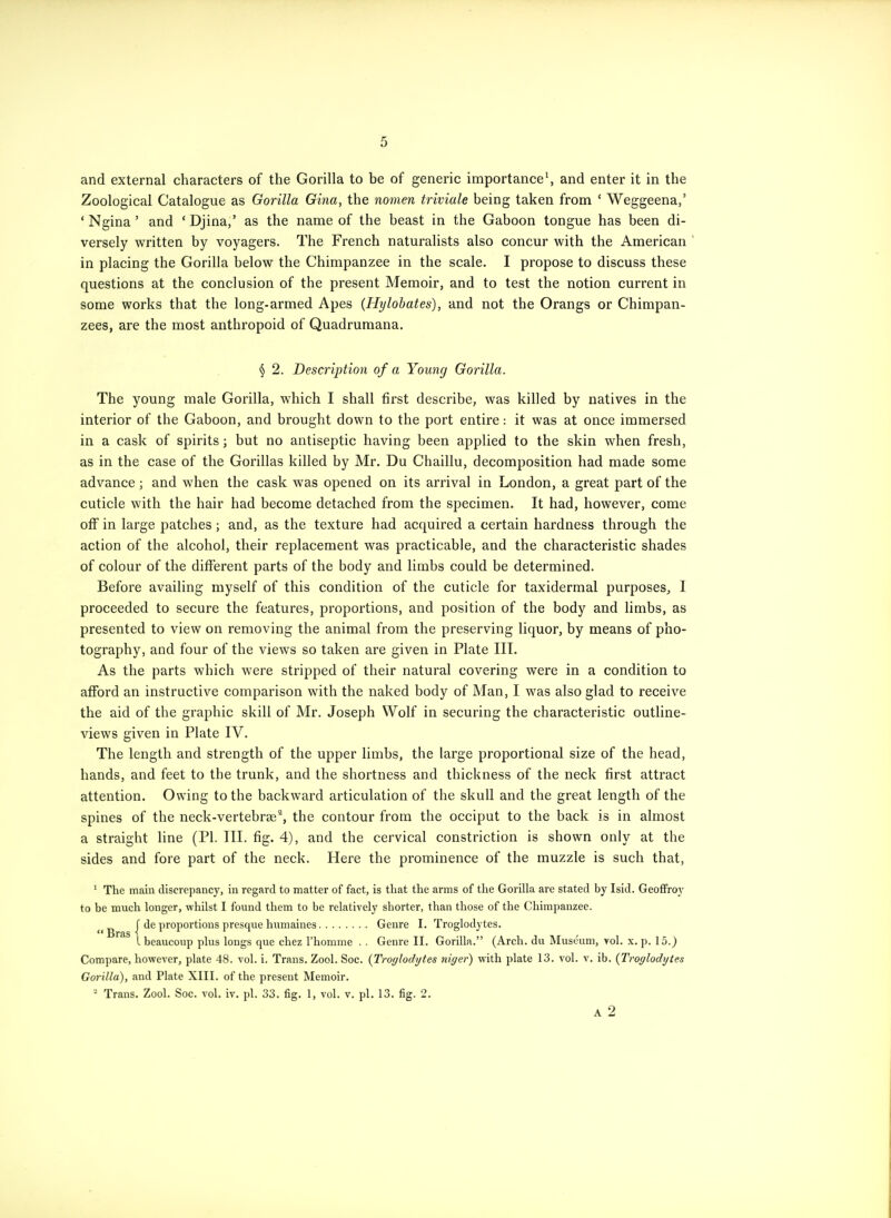 and external characters of the Gorilla to be of generic importance\ and enter it in the Zoological Catalogue as Gorilla Gina, the nomen triviale being taken from ' Weggeena,' ' Ngina ' and ' Djina,' as the name of the beast in the Gaboon tongue has been di- versely written by voyagers. The French naturalists also concur with the American in placing the Gorilla below the Chimpanzee in the scale. I propose to discuss these questions at the conclusion of the present Memoir, and to test the notion current in some works that the long-armed Apes (Hylobates), and not the Orangs or Chimpan- zees, are the most anthropoid of Quadrumana. § 2. Description of a Young Gorilla. The young male Gorilla, which I shall first describe, was killed by natives in the interior of the Gaboon, and brought down to the port entire: it was at once immersed in a cask of spirits; but no antiseptic having been applied to the skin when fresh, as in the case of the Gorillas killed by Mr. Du Chaillu, decomposition had made some advance; and when the cask was opened on its arrival in London, a great part of the cuticle with the hair had become detached from the specimen. It had, however, come off in large patches ; and, as the texture had acquired a certain hardness through the action of the alcohol, their replacement was practicable, and the characteristic shades of colour of the different parts of the body and limbs could be determined. Before availing myself of this condition of the cuticle for taxidermal purposes, I proceeded to secure the features, proportions, and position of the body and limbs, as presented to view on removing the animal from the preserving liquor, by means of pho- tography, and four of the views so taken are given in Plate III. As the parts which were stripped of their natural covering were in a condition to afford an instructive comparison with the naked body of Man, I was also glad to receive the aid of the graphic skill of Mr. Joseph Wolf in securing the characteristic outline- views given in Plate IV. The length and strength of the upper limbs, the large proportional size of the head, hands, and feet to the trunk, and the shortness and thickness of the neck first attract attention. Owing to the backward articulation of the skull and the great length of the spines of the neck-vertebrse^, the contour from the occiput to the back is in almost a straight line (PI. III. fig. 4), and the cervical constriction is shown only at the sides and fore part of the neck. Here the prominence of the muzzle is such that, ' The main discrepancy, in regard to matter of fact, is that the arms of the Gorilla are stated by Isid. Geoffroy to be much longer, whilst I found them to be relatively shorter, than those of the Chimpanzee. I de proportions presque hiimaines Genre I. Troglodytes. I beaucoup plus longs que chez I'homme . . Genre II. Gorilla. (Arch, du Museum, vol. x. p. 15.) Compare, however, plate 48. vol. i. Trans. Zool. Soc. {Troglodytes niger) with plate 13. vol. v. ib, {Troglodytes Gorilla), and Plate XIII. of the present Memoir. ' Trans. Zool. Soc. vol. iv. pi. 33. fig. 1, vol. v. pi. 13. fig. 2. A 2