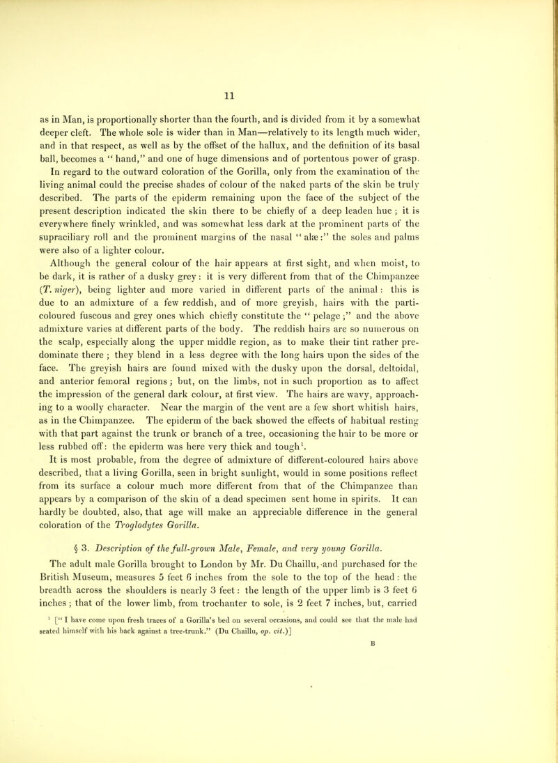 as in Man, is proportionally shorter than the fourth, and is divided from it by a somewhat deeper cleft. The whole sole is wider than in Man—relatively to its length much wider, and in that respect, as well as by the offset of the hallux, and the definition of its basal ball, becomes a  hand, and one of huge dimensions and of portentous power of grasp. In regard to the outward coloration of the Gorilla, only from the examination of the living animal could the precise shades of colour of the naked parts of the skin be truly described. The parts of the epiderm remaining upon the face of the subject of the present description indicated the skin there to be chiefly of a deep leaden hue ; it is everywhere finely wrinkled, and was somewhat less dark at the prominent parts of the supraciliary roll and the prominent margins of the nasal  alse: the soles and palms were also of a lighter colour. Although the general colour of the hair appears at first sight, and when moist, to be dark, it is rather of a dusky grey: it is very diflferent from that of the Chimpanzee (T.niger), being lighter and more varied in different parts of the animal: this is due to an admixture of a few reddish, and of more greyish, hairs with the parti- coloured fuscous and grey ones which chiefly constitute the  pelage ; and the above admixture varies at different parts of the body. The reddish hairs are so numerous on the scalp, especially along the upper middle region, as to make their tint rather pre- dominate there ; they blend in a less degree with the long hairs upon the sides of the face. The greyish hairs are found mixed with the dusky upon the dorsal, deltoidal, and anterior femoral regions ; but, on the limbs, not in such proportion as to affect the impression of the general dark colour, at first view. The hairs are wavy, approach- ing to a woolly character. Near the margin of the vent are a few short whitish hairs, as in the Chimpanzee. The epiderm of the back showed the effects of habitual resting with that part against the trunk or branch of a tree, occasioning the hair to be more or less rubbed off: the epiderm was here very thick and tough\ It is most probable, from the degree of admixture of different-coloured hairs above described, that a living Gorilla, seen in bright sunlight, would in some positions reflect from its surface a colour much more different from that of the Chimpanzee than appears by a comparison of the skin of a dead specimen sent home in spirits. It can hardly be doubted, also, that age will make an appreciable difference in the general coloration of the Troglodytes Gorilla. § 3. Description of the full-grown Male, Female, and very young Gorilla. The adult male Gorilla brought to London by Mr. Du Chaillu. and purchased for the British Museum, measures 5 feet 6 inches from the sole to the top of the head : the breadth across the shoulders is nearly 3 feet: the length of the upper limb is 3 feet 6 inches; that of the lower limb, from trochanter to sole, is 2 feet 7 inches, but, carried ^ [ I have come upon fresh traces of a Gorilla's bed on several occasions, and could see that the male had seated himself with his back against a tree-trunk. (Du Chaillu, op. cit.)] B