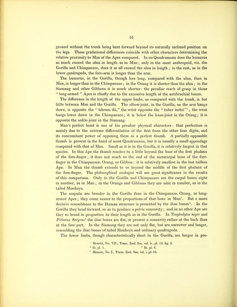 ground without the trunk being bent forward beyond its naturally inclined position on the legs. These gradational differences coincide with other characters determining the relative proximity to Man of the Apes compared. In no Quadrumana does the humerus so much exceed the ulna in length as in Man; only in the most anthropoid, viz. the Gorilla and Chimpanzee, does it at all exceed the ulna in length; in the rest, as in the lower quadrupeds, the fore-arm is longer than the arm. The humerus, in the Gorilla, though less long, compared with the ulna, than in Man, is longer than in the Chimpanzee ; in the Orang it is shorter than the ulna ; in the Siamang and other Gibbons it is much shorter: the peculiar reach of grasp in those  long-armed  Apes is chiefly due to the excessive length of the antibrachial bones. The difference in the length of the upper limbs, as compared with the trunk, is but little between Man and the Gorilla. The elbow-joint, in the Gorilla, as the arm hangs down, is opposite the  labrum ilii, the wrist opposite the  tuber ischii' ; the wrist hangs lower down in the Chimpanzee; it is below the knee-joint in the Orang; it is opposite the ankle-joint in the Siamang. Man's perfect hand is one of his peculiar physical characters: that perfection is mainly due to the extreme differentiation of the first from the other four digits, and its concomitant power of opposing them as a perfect thumb. A partially opposable thumb is present in the hand of most Quadrumana, but it is usually a small appendage compared with that of Man. Small as it is in the Gorilla, it is relatively largest in that species. In this Ape the thumb reaches to a little beyond the base of the first phalanx of the fore-finger ; it does not reach to the end of the metacarpal bone of the fore- finger in the Chimpanzee, Orang, or Gibbon ; it is relatively smallest in the last tailless Ape. In Man the thumb extends to or beyond the middle of the first phalanx of the fore-finger. The philosophical zoologist will see great significance in the results of this comparison. Only in the Gorilla and Chimpanzee are the carpal bones eight in number, as in Man ; in the Orangs and Gibbons they are nine in number, as in the tailed Monkeys. The scapulae are broader in the Gorilla than in the Chimpanzee, Orang, or long- armed Apes ; they come nearer to the proportions of that bone in Man^. But a more decisive resemblance to the Human structure is presented by the iliac bones^. In the Gorilla they bend forward, so as to produce a pelvic concavity ; and in no other Ape are they so broad in proportion to their length as in the Gorilla. In Troglodytes niger and Pithecus Satyrus'^ the iliac bones are fiat, or present a concavity rather at the back than at the fore part. In the Siamang they are not only flat, but are narrower and longer, resembling the iliac bones of tailed Monkeys and ordinary quadrupeds. The lower limbs, though characteristically short in the Gorilla, are longer in pro- ' Memoir, No. VII., Trans. Zool. Soc. vol. iv. pi. 13. fig. 2. * lb. pi. 1. ' lb. pi. 6. * Memoir, No. I., Trans. Zool. Soc. vol. i. pi. 50.