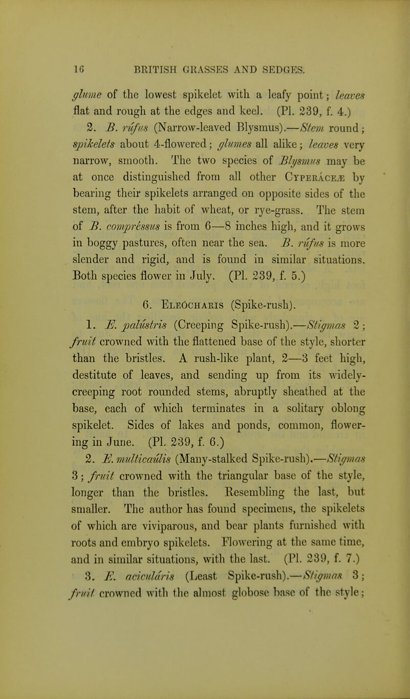 glume of the lowest spikelet with a leafy point; leaves flat and rough at the edges and keel. (PL 239, f. 4.) 2. B. ruftis (Narrow-leaved Blysmus).—Stem round; spikelets about 4-flowered; glumes all alike; leaves very narrow, smooth. The two species of Blysmus may be at once distinguished from all other Cyperacks; by bearing their spikelets arranged on opposite sides of the stem, after the habit of wheat, or rye-grass. The stem of B. compressus is from 6—8 inches high, and it grows in boggy pastures, often near the sea. B. riifus is more slender and rigid, and is found in similar situations. Both species flower in July. (PL 239, f. 5.) 6. EleOcharis (Spike-rush). 1. E. palustris (Creeping Spike-rush).—Stigmas 2; fruit crowned with the flattened base of the style, shorter than the bristles. A rush-like plant, 2—3 feet high, destitute of leaves, and sending up from its widely- creeping root rounded stems, abruptly sheathed at the base, each of which terminates in a solitary oblong spikelet. Sides of lakes and ponds, common, flower- ing in June. (PL 239, f. 6.) 2. iJ. multicaulis (Many-stalked Spike-rush).—Stigmas 3; fruit crowned with the triangular base of the style, longer than the bristles. Resembling the last, but smaller. The author has found specimens, the spikelets of which are viviparous, and bear plants fm-nished with roots and embryo spikelets. Flowering at the same time, and in similar situations, with the last. (PL 239, f. 7.) 3. E. aciculdris (Least Spike-rush).—Sfigmas 3; fruit crowned with the almost globose base of the style;