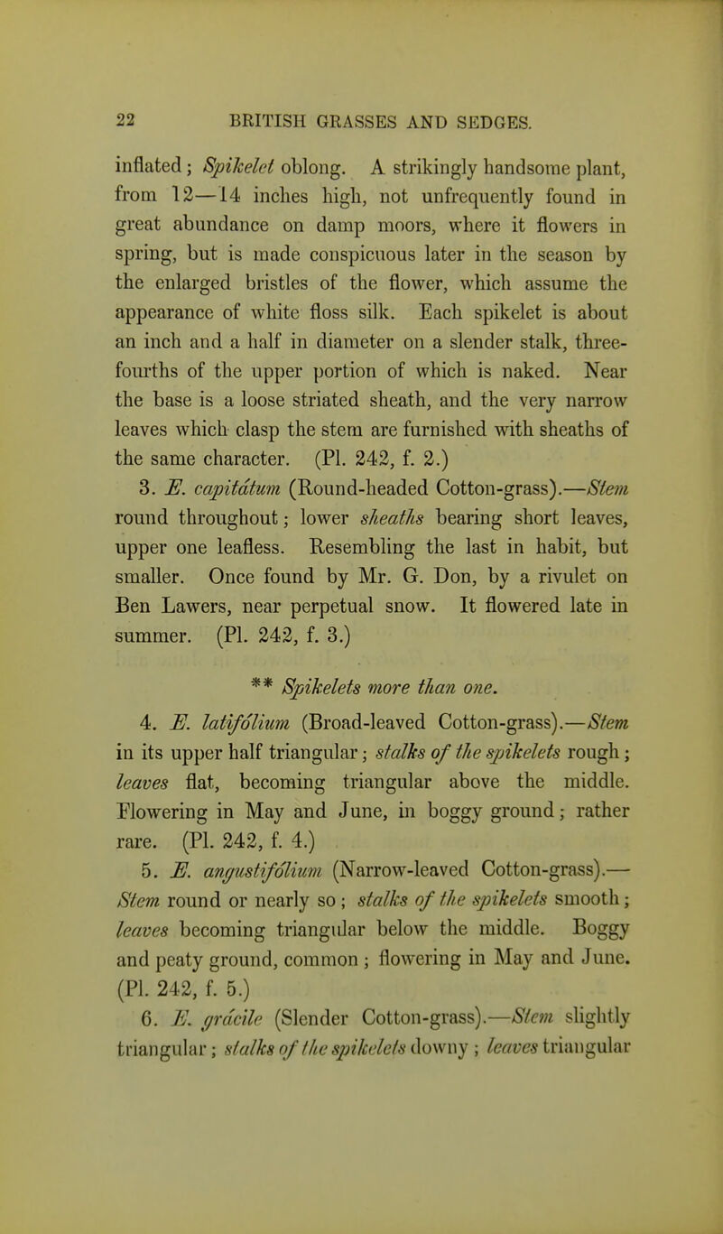 inflated; Spihelct oblong. A strikingly handsome plant, from 12—14 inches high, not unfrequently found in great abundance on damp moors, where it flowers in spring, but is made conspicuous later in the season by the enlarged bristles of the flower, which assume the appearance of white floss silk. Each spikelet is about an inch and a half in diameter on a slender stalk, three- fom-ths of the upper portion of which is naked. Near the base is a loose striated sheath, and the very narrow leaves which clasp the stem are furnished with sheaths of the same character. (PI. 242, f. 2.) 3. IE. capitdtum (Round-headed Cotton-grass).—Stem round throughout; lower sheaths bearing short leaves, upper one leafless. Resembling the last in habit, but smaller. Once found by Mr. G. Don, by a rivulet on Ben Lawers, near perpetual snow. It flowered late in summer. (PI. 242, f. 3.) ** Spikelets more than one. 4. E. latifolium (Broad-leaved Cotton-grass).—Stem in its upper half triangular; stalks of the spikelets rough; leaves flat, becoming triangular above the middle. Flowering in May and June, in boggy ground; rather rare. (PL 242, f. 4.) 5. U. angustifolium (Narrow-leaved Cotton-grass).— Stem round or nearly so ; stalks of the spikelets smooth; leaves becoming triangidar below the middle. Boggy and peaty ground, common ; flowering in May and June. (PI. 242, f. 5.) 6. E. f/rdcUe (Slender Cotton-grass).—Stem slightly triangular; stalks of the spikelets {[om^y \ /cr/^ft^.s triangular