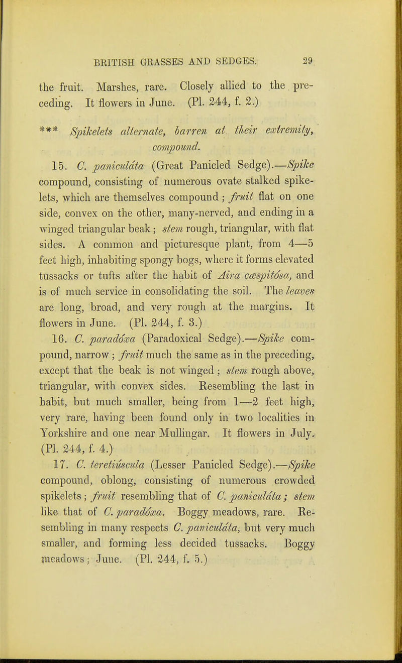 the fruit. Marshes, rare. Closely allied to the pre- ceding. It flowers in June. (PL 244, f. 2.) *** Spikekts alternate, barren at their extremity, compound. 15. C. paniculdta (Great Panicled Sedge).—Spike compound, consisting of numerous ovate stalked spike- lets, which are themselves compound; fruit flat on one side, convex on the other, many-nerved, and ending in a winged triangular beak; stem rough, triangular, with flat sides. A common and picturesque plant, from 4—5 feet high, inhabiting spongy bogs, where it forms elevated tussacks or tufts after the habit of Ai7^a ceBspitosa, and is of much service in consolidating the soil. The leaves are long, broad, and very rough at the margins. It flowers in June. (PI. 244, f. 3.) 16. C. paraddxa (Paradoxical Sedge).—Spike com- pound, narrow; fruit much the same as in the preceding, except that the beak is not winged; stem rough above, triangular, with convex sides. Resembling the last in habit, but much smaller, being from 1—2 feet high, very rare, having been found only in two localities in Yorkshire and one near Mullingar. It flowers in July. (PI. 244, f. 4.) 17. C. teretiuscula (Lesser Panicled Sedge).—Spike compound, oblong, consisting of numerous crowded spikelets ; fruit resembling that of C. paniculdta ; stetn like that of C. pjaraddxa. Boggy meadows, rare. Re- sembling in many respects C. paviculdta, but very much smaller, and forming less decided tussacks. Boggy meadows; June. (PI. 244, f. 5.)