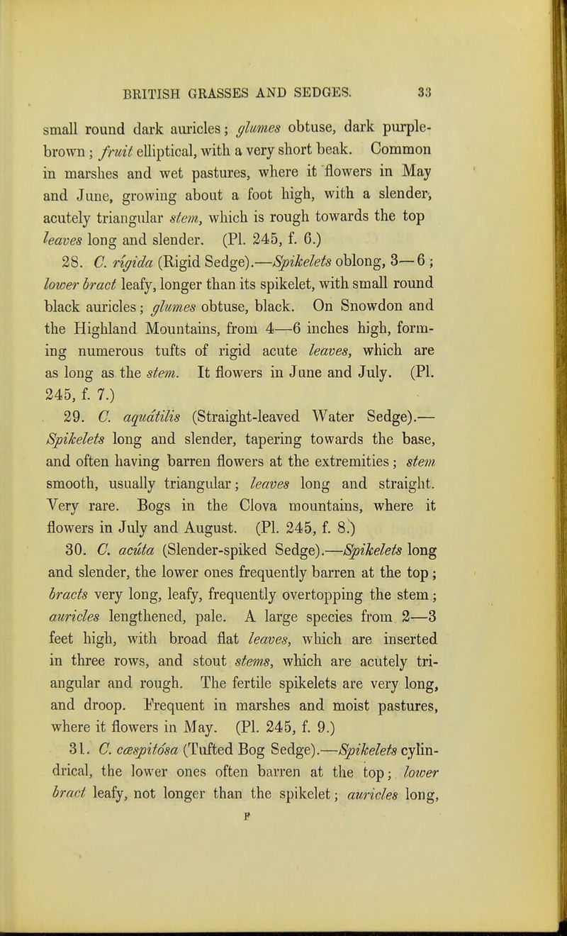 small round dark am-icles; glumes obtuse, dark purple- brown ; fruit elliptical, with a very short beak. Common in marshes and wet pastures, where it 'flowers in May and June, growing about a foot high, with a slender-, acutely triangular stem, which is rough towards the top leaves long and slender. (PI. 245, f. 6.) 28. C. rigida (Rigid Sedge).—Spikelets oblong, 3—6 ; lower bract leafy, longer than its spikelet, with small round black auricles; glumes obtuse, black. On Snowdon and the Highland Mountains, from 4—6 inches high, form- ing numerous tufts of rigid acute leaves, which are as long as the stem. It flowers in June and July. (PI. 245, f. 7.) 29. C. aqiidtilis (Straight-leaved Water Sedge).— Spikelets long and slender, tapering towards the base, and often having barren flowers at the extremities; stetn smooth, usually triangular; leaves long and straight. Very rare. Bogs in the Clova mountains, where it flowers in July and August. (PI. 245, f. 8.) 30. C. acuta (Slender-spiked Sedge).—Spikelets long and slender, the lower ones frequently barren at the top ; bracts very long, leafy, frequently overtopping the stem; auricles lengthened, pale. A large species from 2—3 feet high, with broad flat leaves, which are inserted in three rows, and stout stems, which are acutely tri- angular and rough. The fertile spikelets are very long, and droop. Frequent in marshes and moist pastures, where it flowers in May. (PI. 245, f. 9.) 31. C. caspitdsa (Tufted Bog Sedge).—Spikelets cylin- drical, the lower ones often barren at the top; loioer bract leafy, not longer than the spikelet; auricles long,