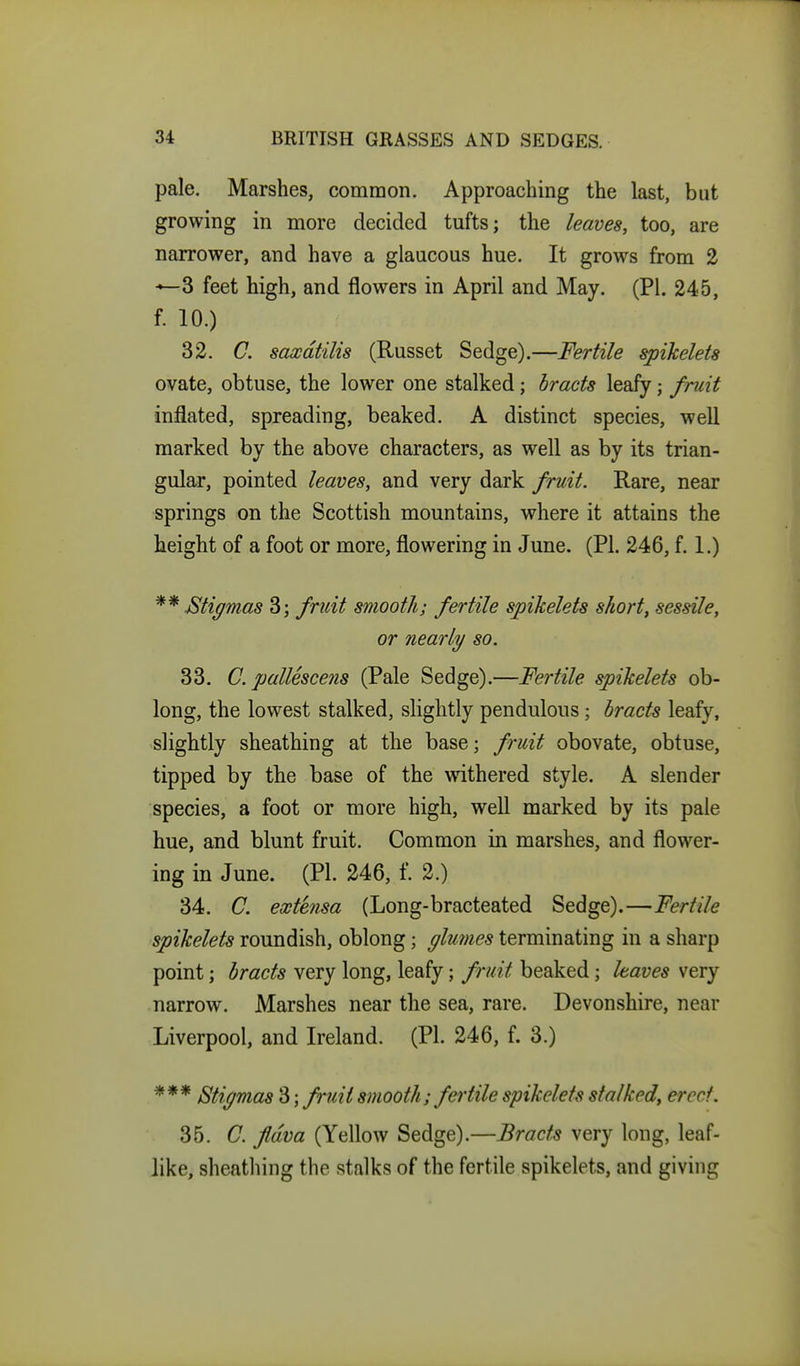 pale. Marshes, common. Approaching the last, but growing in more decided tufts; the leaves, too, are narrower, and have a glaucous hue. It grows from 2 ■^3 feet high, and flowers in April and May. (PI. 245, f. 10.) 32. C. saxdtilis (Russet Sedge).—Fertile spikelets ovate, obtuse, the lower one stalked; bracts leafy; fruit inflated, spreading, beaked. A distinct species, well marked by the above characters, as well as by its trian- gular, pointed leaves, and very dark fruit. Rare, near springs on the Scottish mountains, where it attains the height of a foot or more, flowering in June. (PI. 246, f. 1.) ** Etigmas 3; fruit smooth; fertile spikelets short, sessile, or nearly so. 33. C. pallescens (Pale Sedge).—Fertile spikelets ob- long, the lowest stalked, slightly pendulous ; bracts leafy, slightly sheathing at the base; fruit obovate, obtuse, tipped by the base of the withered style. A slender species, a foot or more high, well marked by its pale hue, and blunt fruit. Common in marshes, and flower- ing in June. (PI. 246, f. 2.) 34. C. extensa (Long-bracteated Sedge).—Fertile spikelets roundish, oblong; glumes terminating in a sharp point; bracts very long, leafy; fruit beaked; haves very narrow. Marshes near the sea, rare. Devonshire, near Liverpool, and Ireland. (PL 246, f. 3.) *** Stigmas '6; fruit smooth; fertile spikelets stalked, erect. 35. C. fldva (Yellow Sedge).—Bracts very long, leaf- like, sheatliing the stalks of the fertile spikelets, and giving