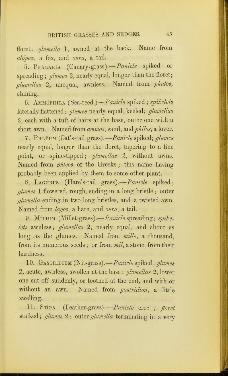 floret; yhmella 1, awned at the back. Name from alopex, a fox, and oiirci, a tail. 5. Phalaris (Canary-grass).—P^^zic/e spiked or spreading; glumes 2, nearly equal, longer than the floret; glumellas 2, unequal, awnless. Named from jplialos, shining. 6. Ammophila (Sea-reed.)—P^zwzc/e spiked; spihelets laterally flattened; glumes nearly equal, keeled; glumellas 2, each with a tuft of hairs at the base, outer one with a short awn. Named from ammos, sand, audp/dlos, a lover. 7. Phleum (Cat's-tail grass).—Panicle spiked; glumes nearly equal, longer than the floret, tapering to a fine point, or spine-tipped; glumellas 2, without awns. Named from p/ileos of the Greeks; this name having probably been applied by them to some other plant. 8. Lagurtjs (Hare's-tail grass).—Panicle spiked; glumes 1-flowered, rough, ending in a long bristle; outer glumella ending in two long bristles, and a twisted awn. Named from lagos, a hare, and oura, a tail. y. Milium (Millet-grass).—spreading; spike- lets awnless; glumellas 2, nearly equal, and about as long -as the glumes. Named from mille, a thousand, from its numerous seeds; or from mil, a stone, from their hardness. 10. Gastridium (Nit-grass).—Panicle spiked; glumes 2, acute, awnless, swollen at the base: glumellas 2, lower one cut ofi suddenly, or toothed at the end, and with or without an awn. Named from gastridion, a Kttle swelling. 11. StIpa (Feather-grass).—Panicle erect; Jloret stalked; glumes 2 ; outer glumella terminating in a very