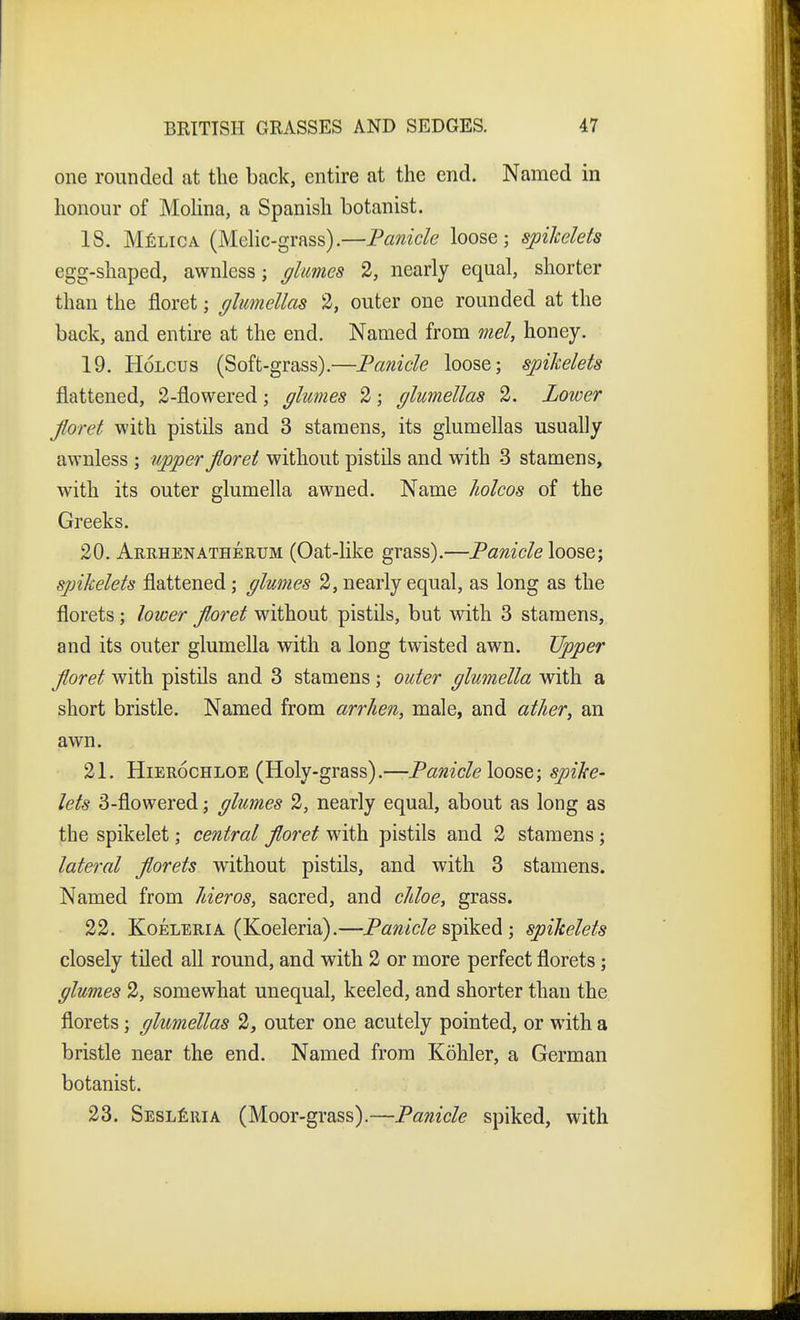 one rounded at the back, entire at the end. Named in honour of MoHna, a Spanish botanist. IS. MfiLiCA (Mdic-grass).—P^zMc/e loose; spiMets egg-shaped, awnless j glumes 2, nearly equal, shorter than the floret; glmnellas 2, outer one rounded at the back, and entire at the end. Named from mel, honey. 19. HoLCUS (Soft-grass).—Panicle loose; spikelets flattened, 2-flowered; glumes 2; glumellas 2. Lower floret with pistils and 3 stamens, its glumellas usually awnless ; upper floret without pistils and with 3 stamens, with its outer glumella awned. Name holcos of the Greeks. 20. Arrhenatherum (Oat-like grass).—Fanicleloose; spikelets flattened; glumes 2, nearly equal, as long as the florets; lower floret without pistils, but with 3 stamens, and its outer glumella with a long twisted awn. Ujpper floret with pistils and 3 stamens ; outer glumella with a short bristle. Named from arrhen, male, and ather, an awn. 21. HiERocHLOE (Holy-grass).—Panicle loose; spike- lets 3-flowered; glumes 2, nearly equal, about as long as the spikelet; central floret with pistils and 2 stamens; lateral florets without pistils, and with 3 stamens. Named from Jderos, sacred, and cJiloe, grass. 22. KoELERiA (Koeleria).—Panicle spiked ; spikelets closely tiled all round, and with 2 or more perfect florets; glumes 2, somewhat unequal, keeled, and shorter than the florets; glumellas 2, outer one acutely pointed, or with a bristle near the end. Named from Kohler, a German botanist. 23. Sesl^ria (Moor-grass).—Panicle spiked, with