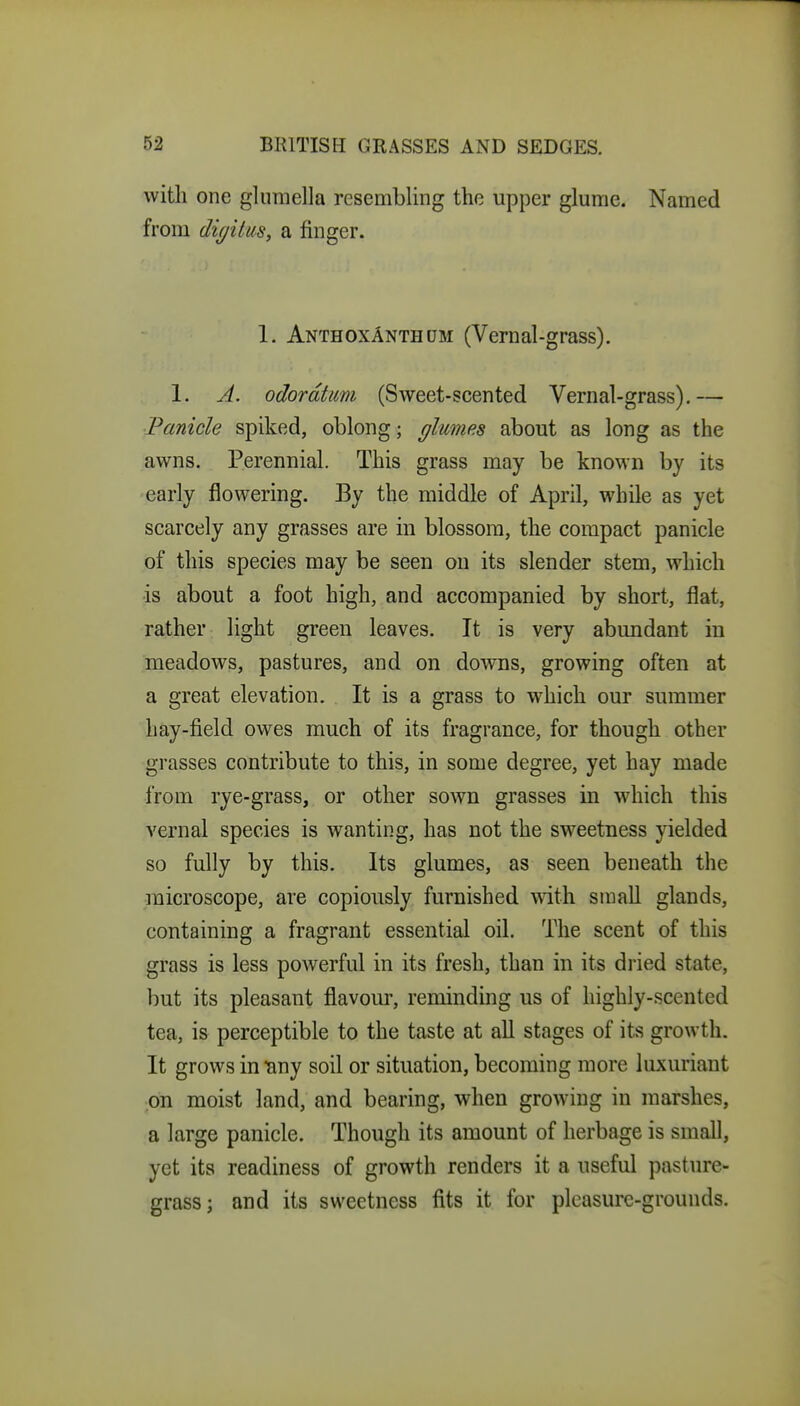 with one glumella resembling the upper glume. Named from di(/itus, a finger. 1. AnthoxAnthdm (Vernal-grass). 1. A. odordhm (Sweet-scented Vernal-grass),— Panicle spiked, oblong; flumes about as long as the awns. Perennial. This grass may be known by its early flowering. By the middle of April, while as yet scarcely any grasses are in blossom, the compact panicle of this species may be seen on its slender stem, which is about a foot high, and accompanied by short, flat, rather light green leaves. It is very abundant in meadows, pastures, and on downs, growing often at a great elevation. It is a grass to which our summer hay-field owes much of its fragrance, for though other grasses contribute to this, in some degree, yet hay made from rye-grass, or other sown grasses in which this vernal species is wanting, has not the sweetness yielded so fully by this. Its glumes, as seen beneath the microscope, are copiously furnished with small glands, containing a fragrant essential oil. The scent of this grass is less powerful in its fresh, than in its dried state, but its pleasant flavoiu-, reminding us of highly-scented tea, is perceptible to the taste at aU stages of its growth. It grows iniany soil or situation, becoming more luxuriant on moist land, and bearing, when growing in marshes, a large panicle. Though its amount of herbage is small, yet its readiness of growth renders it a useful pasture- grass; and its sweetness fits it for pleasure-grounds.