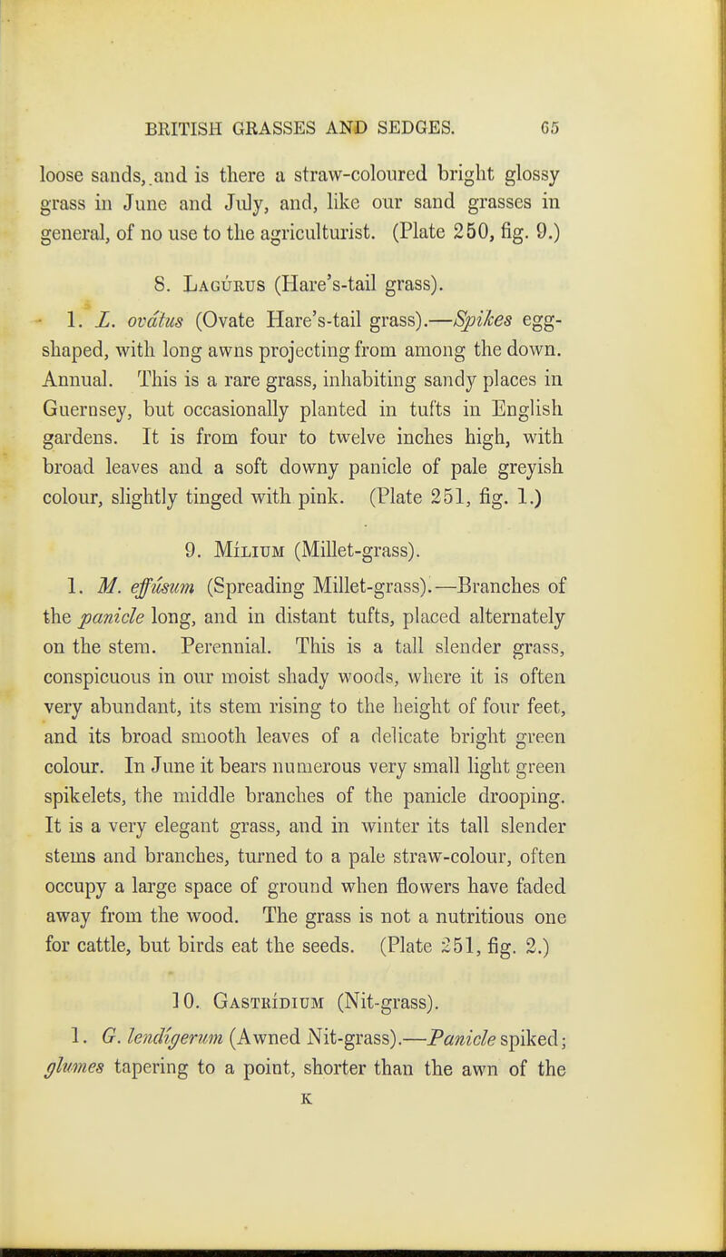 loose sands,.and is there a straw-colonred bright glossy grass in June and Jiily, and, like our sand grasses in general, of no use to the agriculturist. (Plate 250, fig. 9.) 8. La GURUS (Hare's-tail grass). 1. L. ovdtus (Ovate Hare's-tail grass).—Spikes egg- shaped, with long awns projecting from among the down. Annual. This is a rare grass, inhabiting sandy places in Guernsey, but occasionally planted in tufts in English gardens. It is from four to twelve inches high, with broad leaves and a soft downy panicle of pale greyish colour, slightly tinged with pink. (Plate 251, fig. 1.) 9. Milium (Millet-grass). 1. M. effusum (Spreading Millet-grass).—Branches of the panicle long, and in distant tufts, placed alternately on the stem. Perennial. This is a tall slender grass, conspicuous in our moist shady woods, where it is often very abundant, its stem rising to the height of four feet, and its broad smooth leaves of a delicate bright green colour. In June it bears numerous very small light green spikelets, the middle branches of the panicle drooping. It is a very elegant grass, and in winter its tall slender stems and branches, turned to a pale straw-colour, often occupy a large space of ground when flowers have faded away from the wood. The grass is not a nutritious one for cattle, but birds eat the seeds. (Plate 251, fig. 2.) ]0. Gastridium (Nit-grass). 1. G. lendigenmi (Awned Nit-grass).—Panicle spiked; glumes tapering to a point, shorter than the awn of the K