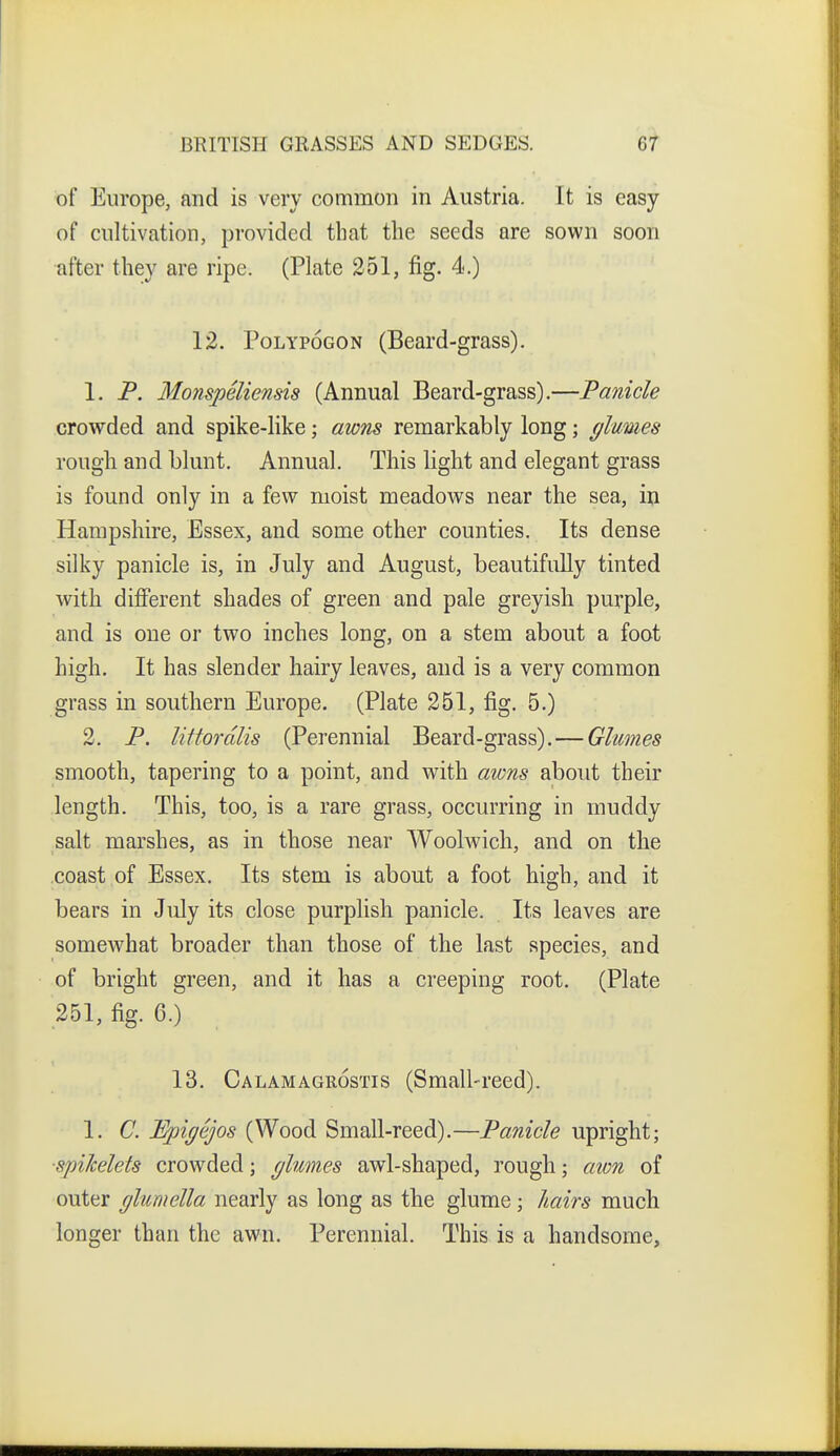 of Europe, and is very common in Austria. It is easy of cultivation, provided that the seeds are sown soon after they are ripe. (Plate 251, fig. 4.) 12. PoLYPOGON (Beard-grass). 1. P. Monspeliensis (Annual Beard-grass).—Panicle crowded and spike-like; awns remarkably long; glumes rough and blunt. Annual. This light and elegant grass is found only in a few moist meadows near the sea, in Hampshire, Essex, and some other counties. Its dense silky panicle is, in July and August, beautifully tinted with diflPerent shades of green and pale greyish purple, and is one or two inches long, on a stem about a foot high. It has slender hairy leaves, and is a very common grass in southern Europe. (Plate 251, fig. 5.) 2. P. littordlis (Perennial Beard-grass).—Glumes smooth, tapering to a point, and with awns about their length. This, too, is a rare grass, occurring in muddy salt marshes, as in those near Woohvich, and on the coast of Essex. Its stem is about a foot high, and it bears in July its close purplish panicle. Its leaves are somewhat broader than those of the last species, and of bright green, and it has a creeping root. (Plate 251, fig. 6.) 13. Calamagrostis (Small-reed). 1. C. Epigejos (Wood Small-reed).—Panicle upright; ■spiJcelets crowded; glumes awl-shaped, rough; awn of outer glumella nearly as long as the glume; liairs much longer than the awn. Perennial. This is a handsome.