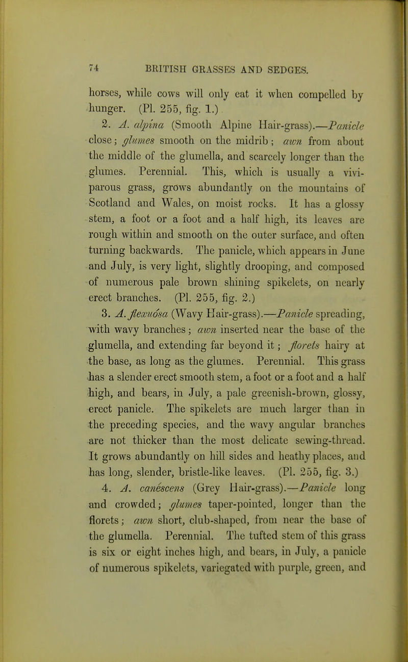horses, while cows will only eat it when compelled by hunger. (PI. 255, fig. 1.) 2. A. alpina (Smooth Alpine Hair-grass).—Panicle close; (/limes smooth on the midrib; awn from about the middle of the glumella, and scarcely longer than the glumes. Perennial. This, which is usually a vivi- parous grass, grOAvs abundantly on the mountains of Scotland and Wales, on moist rocks. It has a glossy stem, a foot or a foot and a half high, its leaves are rough within and smooth on the outer surface, and often turning backwards. The panicle, which appeal's in June and July, is very light, slightly drooping, and composed of numerous pale brown shining spikelets, on nearly erect branches. (PI. 255, fig. 2.) 3. A.Jlexuosa (Wavy Hair-grass).—Panicle spreading, with wavy branches; awn inserted near the base of the glumella, and extending far beyond it; florets hairy at the b ase, as long as the glumes. Perennial. This grass -has a slender erect smooth stem, a foot or a foot and a half high, and bears, in July, a pale greenish-brown, glossy, erect panicle. The spikelets are much larger than in •the preceding species, and the wavy angular branches are not thicker than the most delicate sewing-thread. It grows abundantly on hill sides and heathy places, and has long, slender, bristle-like leaves. (PI. 255, fig. 3.) 4. J. canescens (Grey Hair-grass).—Panicle long and crowded; (jlames taper-pointed, longer than the florets; awn short, club-shaped, from near the base of the glumella. Perennial. The tufted stem of this grass is six or eight inches high, and bears, in July, a panicle of numerous spikelets, variegated with purple, green, and