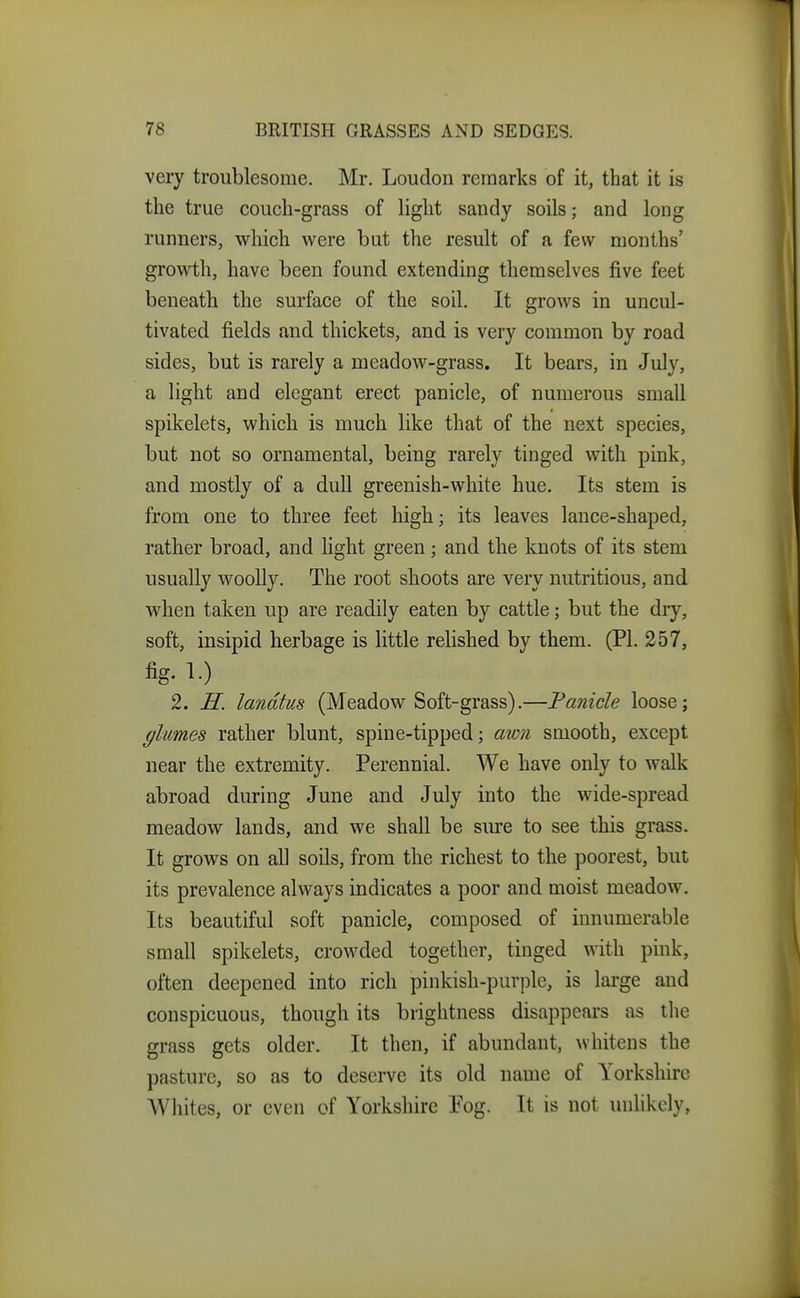 very troublesome. Mr. Loudon remarks of it, that it is the true couch-grass of liglit sandy soils; and long runners, which were but the result of a few months' growth, have been found extending themselves five feet beneath the surface of the soil. It grows in uncul- tivated fields and thickets, and is very common by road sides, but is rarely a meadow-grass. It bears, in July, a light and elegant erect panicle, of numerous small spikelets, which is much like that of the next species, but not so ornamental, being rarely tinged with pink, and mostly of a dull greenish-white hue. Its stem is from one to three feet high; its leaves lance-shaped, rather broad, and light green; and the knots of its stem usually woolly. The root shoots are very nutritious, and when taken up are readily eaten by cattle; but the diy, soft, insipid herbage is little rehshed by them. (PI. 257, fig. 1.) 2. H. landtus (Meadow Soft-grass).—Fanicle loose; flumes rather blunt, spine-tipped; awn smooth, except near the extremity. Perennial. We have only to walk abroad during June and July into the wide-spread meadow lands, and we shall be siu-e to see this grass. It grows on all soils, from the richest to the poorest, but its prevalence always indicates a poor and moist meadow. Its beautiful soft panicle, composed of innumerable small spikelets, crowded together, tinged with pink, often deepened into rich pinkish-purple, is large and conspicuous, though its brightness disappears as the grass gets older. It then, if abundant, whitens the pasture, so as to deserve its old name of Yorkshire AVhites, or even of Yorkshire Pog. It is not milikcly,
