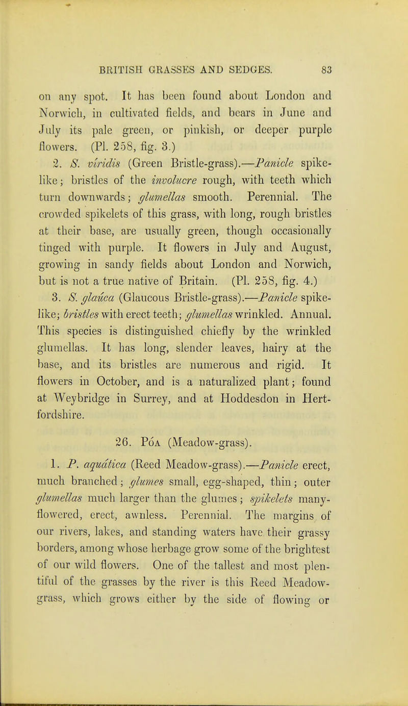 on any spot. It has been found about London and Norwich, in cultivated fields, and bears in June and July its pale green, or pinkish, or deeper purple flowers. (PI. 258, fig. 3.) 2. S. viridis (Green Bristle-grass).—Fanide spike- like; bristles of the involucre rough, with teeth which turn downwards; glumellas smooth. Perennial. The crowded spikelets of this grass, with long, rough bristles at their base, are usually green, though occasionally tinged with purple. It flowers in July and August, growing in sandy fields about London and Norwich, but is not a true native of Britain, (PI. 258, fig. 4.) 3. 8. glauca (Glaucous Bristle-grass),—Panicle spike- like; bristles with erect teeth; glumellas wrinkled. Annual. This species is distinguished chiefly by the wrinkled glumellas. It has long, slender leaves, hairy at the base, and its bristles are numerous and rigid. It flowers in October, and is a naturalized plant; found at Weybridge in Surrey, and at Hoddesdon in Hert- fordshire. 26. PoA (Meadow-grass). 1. P. aqudtica (Reed Meadow-grass).—Panicle erect, much branched; glumes small, egg-shaped, thin; outer glum.ellas much larger than the glumes; spikelets many- flowered, erect, avvnless. Perennial. The margins of our rivers, lakes, and standing waters have their grassy borders, among whose herbage grow some of the brightest of our wild flowers. One of the tallest and most plen- tiful of the grasses by the river is this Reed Meadow- grass, which grows either by the side of flowing or