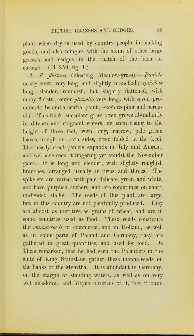 plant when dry is used by country people in packing goods, and also mingles with the stems of other large grasses and sedges in the thatch of the barn or cottage. (PI. 259, fig. 1.) 2. P. jluitans (Floating Meadow-grass).—Panicle nearly erect, very long, and slightly branched; spikelets long, slender, roundish, but slightly flattened, with many florets; outer glumella very long, with seven pro- minent ribs and a central point; root creeping and peren- nial. This thick, succulent grass often grows abundantly in ditches and stagnant waters, its stem rising to the height of three feet, with long, narrow, pale green leaves, rough on both sides, often folded at the keel. The nearly erect panicle expands in July and August, and we have seen it lingering yet amidst the November gales. It is long and slender, with slightly roughish branches, arranged usually in twos and threes. The spikelets are varied with pale delicate green and white, and have purplish anthers, and are sometimes on short, undivided stalks. The seeds of this plant are large, but in this country are not plentifully produced. They are almost as nutritive as grains of wheat, and are in some countries used as food. These seeds constitute the manna-seeds of commerce, and in Holland, as well as in some parts of Poland and Germany, they are gathered in great quantities, and used for food. De Theis remarked, that he had seen the Polanders in the suite of King Stanislaus gather these manna-seeds on the banks of the Meurtha. It is abundant in Germany, on the margin of standing waters, as well as on very wet meadows; and Meyen observes of it, that  round