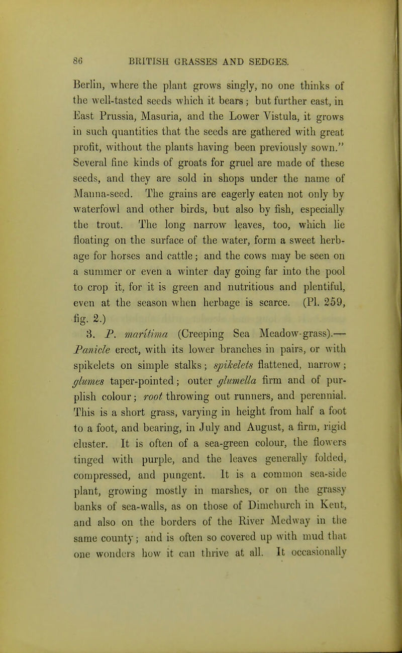 Berlin, where the plant grows singly, no one thinks of the well-tasted seeds which it bears; but further east, in East Prussia, Masuria, and the Lower Vistula, it grows in such quantities that the seeds are gathered with, great profit, without the plants having been previously sown. Several fine kinds of groats for gruel are made of these seeds, and they are sold in shops under the name of Manna-seed. The grains are eagerly eaten not only by waterfowl and other birds, but also by fish, especially the trout. The long narrow leaves, too, which lie floating on the surface of the water, form a sweet herb- age for horses and cattle; and the cows may be seen on a summer or even a winter day going far into the pool to crop it, for it is green and nutritious and plentiful, even at the season when herbage is scarce. (PI. 259, fig. 2.) 8. P. marUima (Creeping Sea Meadow-grass).— Panicle erect, with its lower branches in pairs, or Avith spikelets on simple stalks; spikelets flattened, narrow; flumes taper-pointed; outer glumella firm and of pur- plish colour; root throwing out runners, and perennial. This is a short grass, varying in height from half a foot to a foot, and bearing, in July and August, a firm, rigid cluster. It is often of a sea-green colour, the flowers tinged with purple, and the leaves generally folded, compressed, and pungent. It is a common sea-side plant, growing mostly in marshes, or on the grassy banks of sea-walls, as on those of Dimchurch in Kent, and also on the borders of the River Medway in tlie same county; and is often so covered up with nmd that one wonders how it can thrive at all. It occasionally