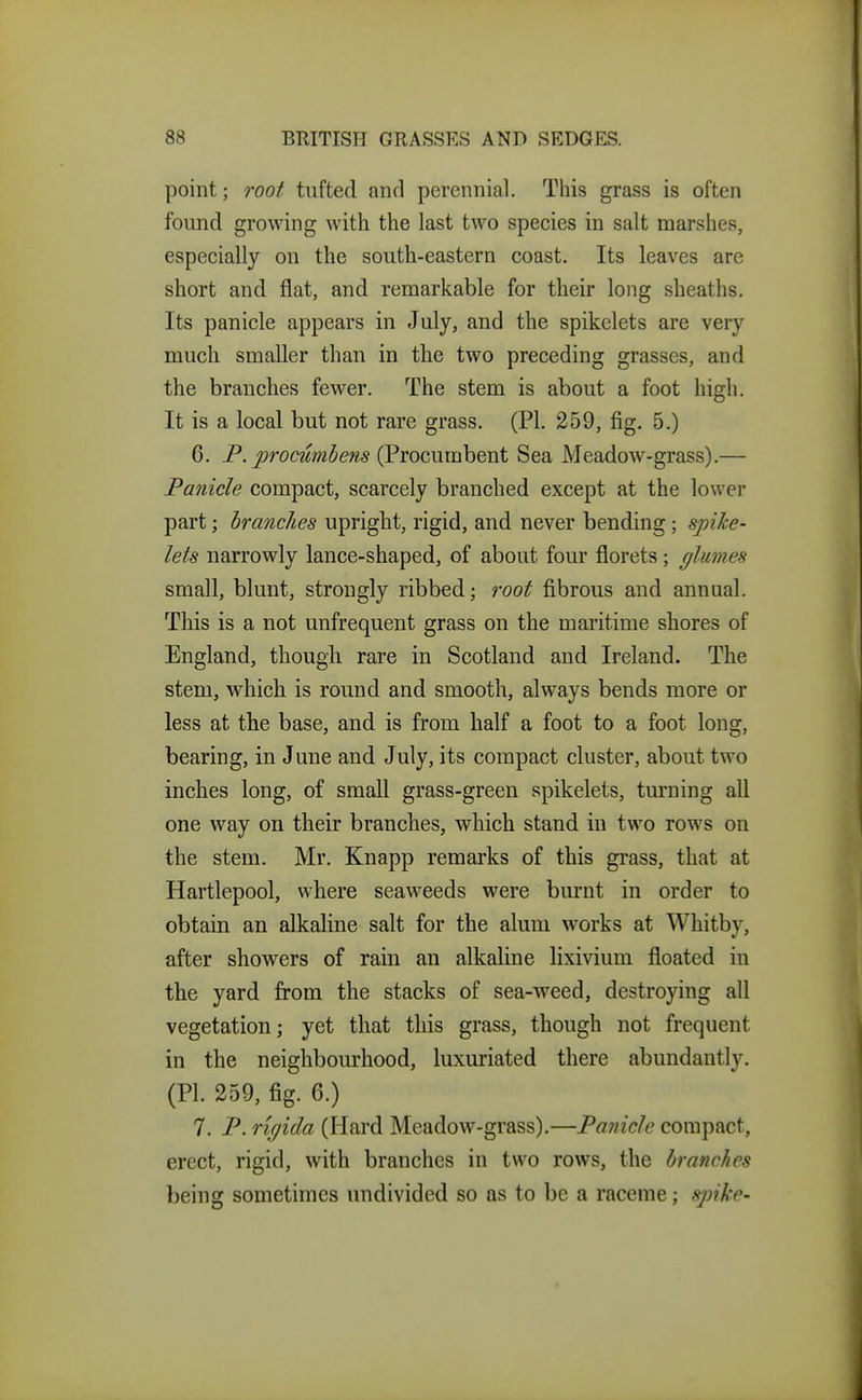 point; root tufted and perennial. This grass is often found growing with the last two species in salt marshes, especially on the south-eastern coast. Its leaves are short and flat, and remarkable for their long sheaths. Its panicle appears in July, and the spikelets are very much smaller than in the two preceding grasses, and the branches fewer. The stem is about a foot high. It is a local but not rare grass. (PI. 259, fig. 5.) 6. F. procumhens (Procumbent Sea MeadoAv-grass).— Panicle compact, scarcely branched except at the lower part; branches upright, rigid, and never bending; spike- lets narrowly lance-shaped, of about four florets; flumes small, blunt, strongly ribbed; root fibrous and annual. This is a not unfrequent grass on the maritime shores of England, though rare in Scotland and Ireland. The stem, which is round and smooth, always bends more or less at the base, and is from half a foot to a foot long, bearing, in June and July, its compact cluster, about two inches long, of small grass-green spikelets, turning all one way on their branches, which stand in two rows on the stem. Mr. Knapp remarks of this grass, that at Hartlepool, where seaweeds were burnt in order to obtain an alkaline salt for the alum works at Whitby, after showers of rain an alkaline lixivium floated in the yard from the stacks of sea-weed, destroying all vegetation; yet that this grass, though not frequent in the neighbourhood, luxuriated there abundantly. (PI. 259, fig. 6.) 7. P. rigida (Hard Meadow-grass).—Panicle compact, erect, rigid, with branches in two rows, the branches being sometimes undivided so as to be a raceme; spike-