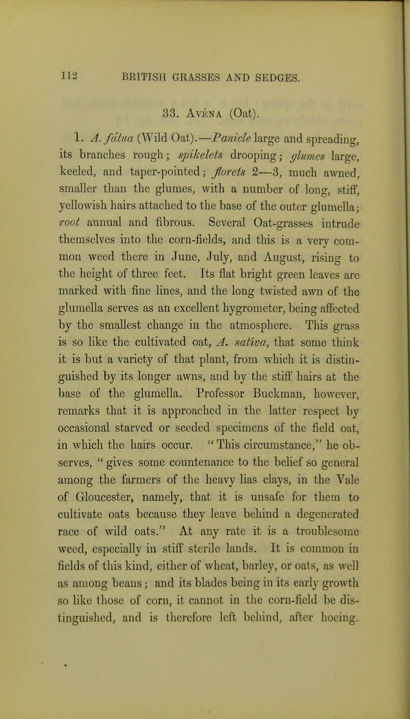 33. AvENA (Oat). 1. A.fdtua (Wild Oat).—Panicle large and spreading, its branches rough; spikelets drooping; flumes large, keeled, and taper-pointed; florets 2—3, much awned, smaller than the glumes, with a number of long, stiff, yellowish hairs attached to the base of the outer glumella; root annual and fibrous. Several Oat-grasses intrude themselves into the corn-fields, and this is a very com- mon weed there in June, July, and August, rising to the height of three feet. Its flat bright green leaves are marked with fine lines, and the long twisted awn of the glumella serves as an excellent hygrometer, being afiFected by the smallest change in the atmosphere. This grass is so like the cultivated oat, A. satwa, that some think it is but a variety of that plant, from which it is distin- guished by its longer awns, and by the stiff hairs at the base of the glumella. Professor Buckman, however, remarks that it is approached in the latter respect by occasional starved or seeded specimens of the field oat, in which the hairs occur.  This circumstance, he ob- serves,  gives some countenance to the belief so general among the farmers of the heavy lias clays, in the Vale of Gloucester, namely, that it is unsafe for them to cultivate oats because they leave behind a degenerated race of wild oats. At any rate it is a troublesome weed, especially in stifi* sterile lands. It is common in fields of this kind, either of wheat, barley, or oats, as well as among beans; and its blades being in its early growth so like those of corn, it cannot in the corn-field be dis- tinguished, and is therefore left behind, after hoeing.